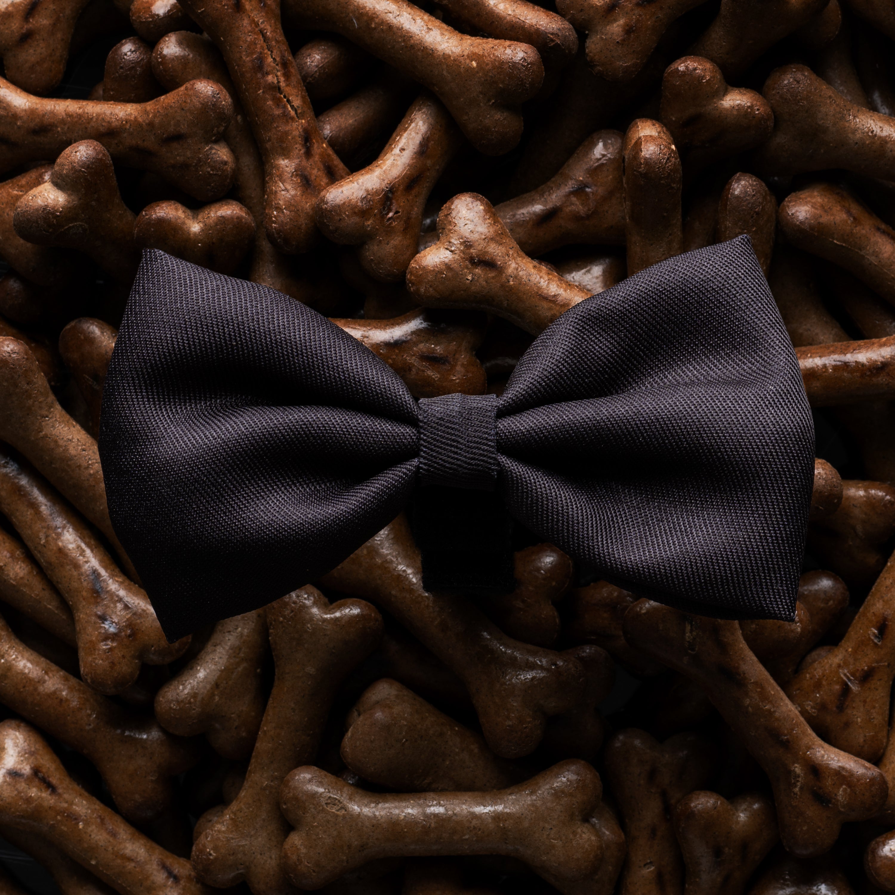 James Bond Pet Bow Tie (Outlet Item)