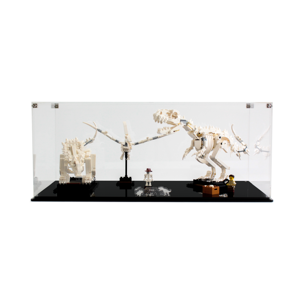 Display Case for LEGO® Ideas: Dinosaur Fossils (21320)
