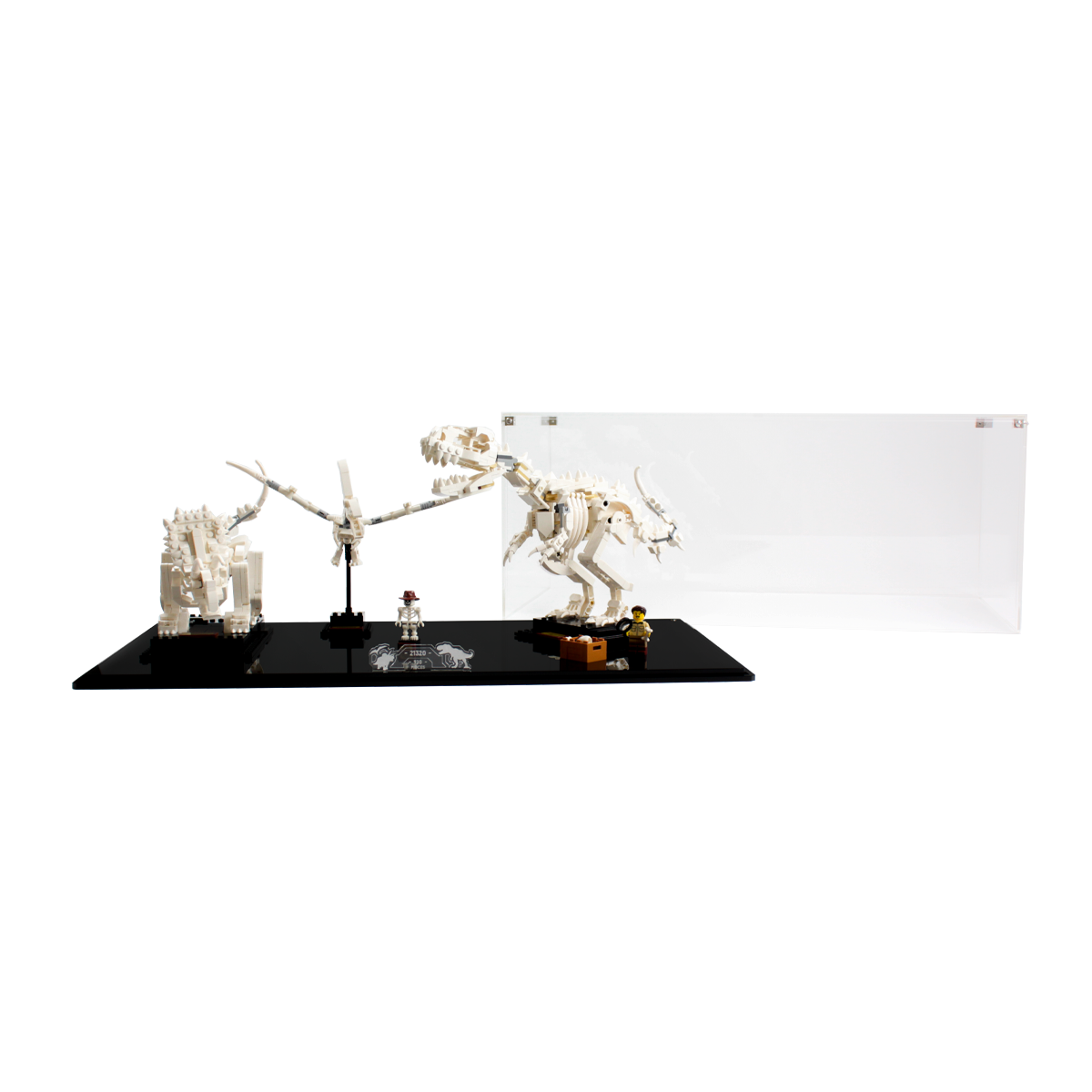 Display Case for LEGO® Ideas: Dinosaur Fossils (21320)