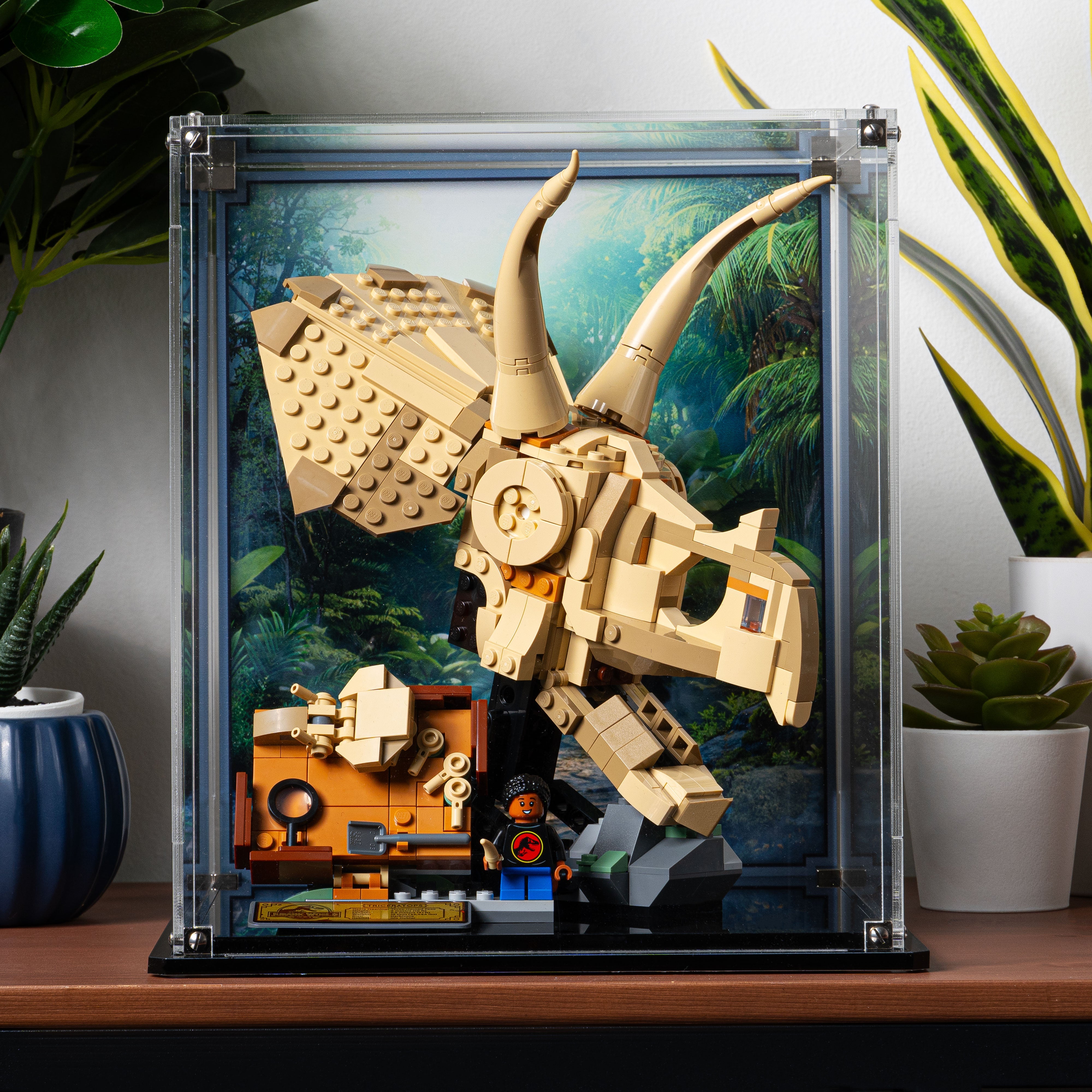 Display Case for LEGO® Jurassic World: Dinosaur Fossils Triceratops Skull (76969)