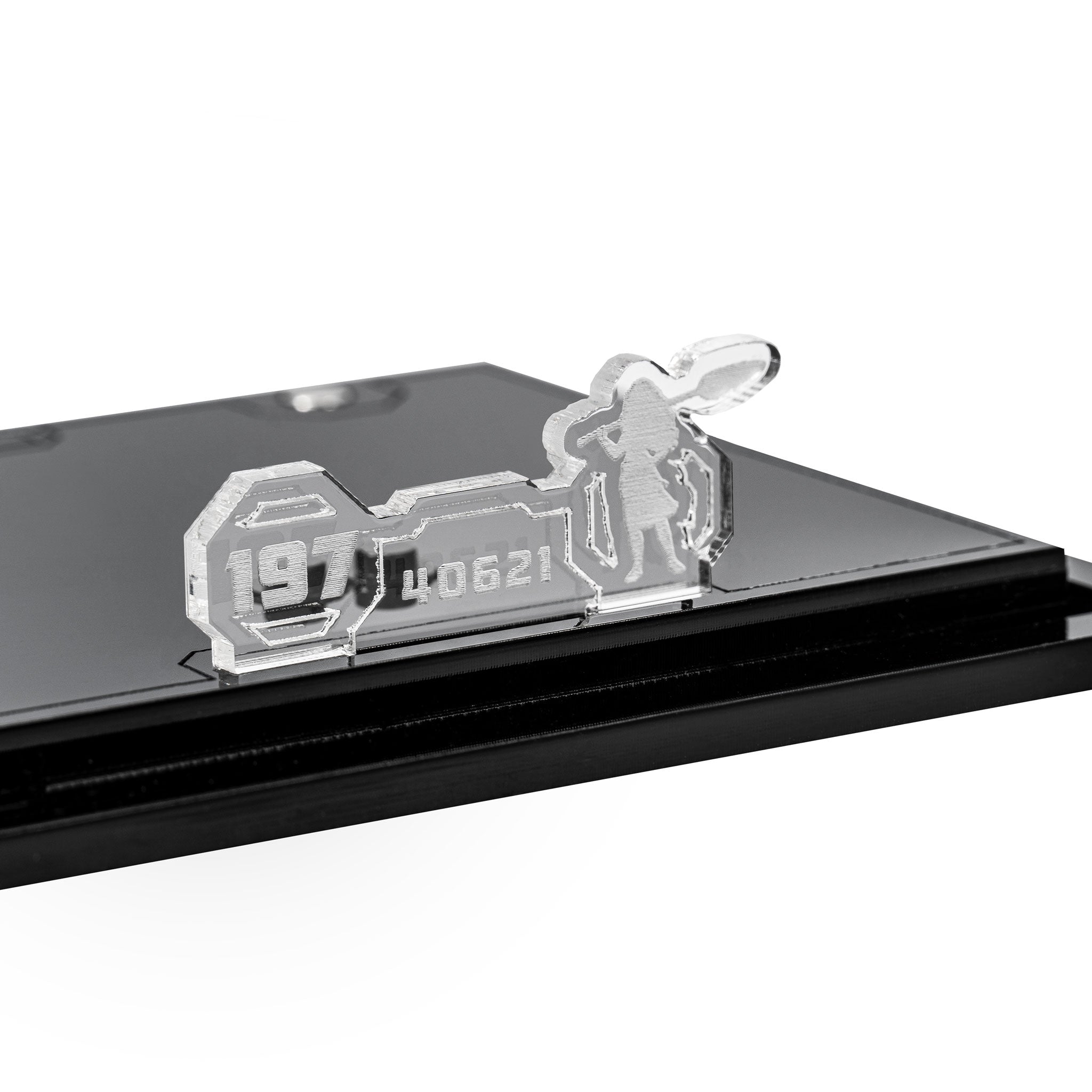 Information Plaques for LEGO® Brickheadz Display Cases
