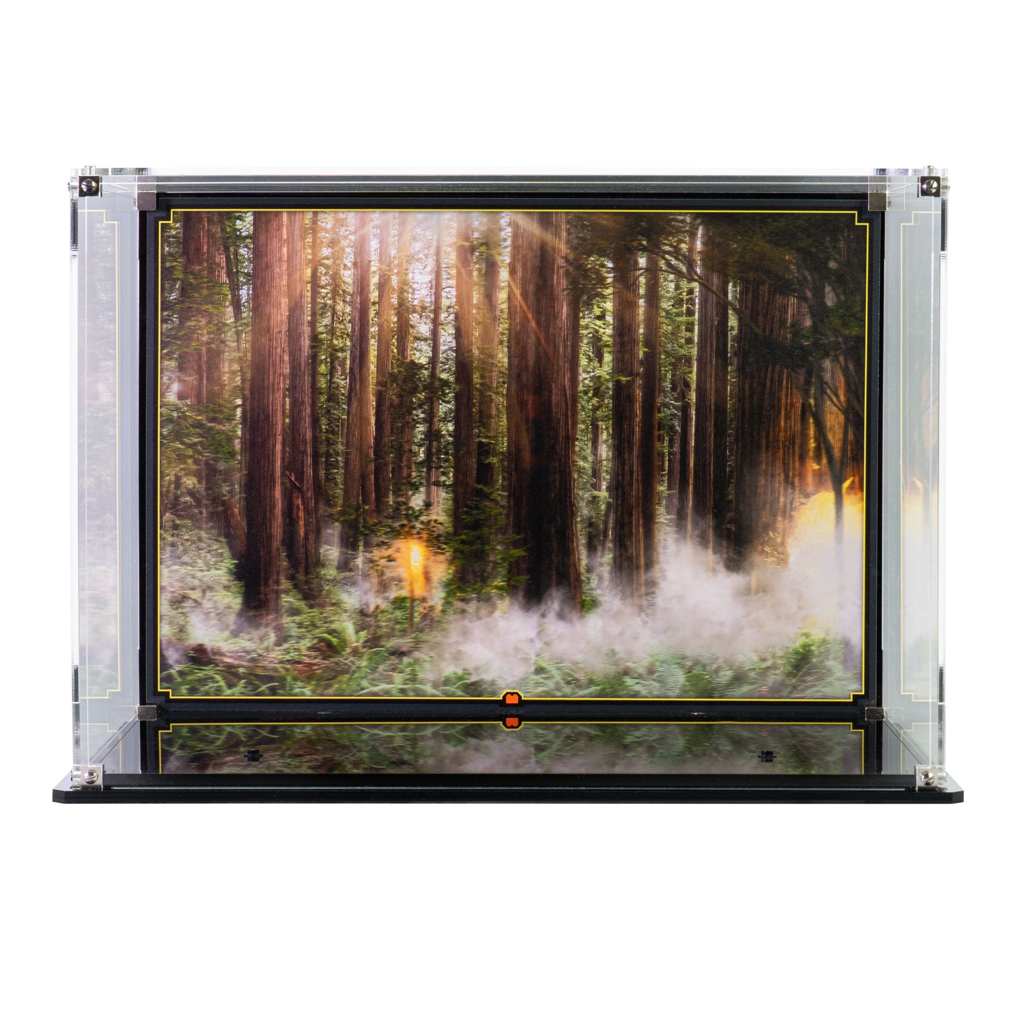 Display Case for LEGO® Star Wars: Endor™ Speeder Chase Diorama (75353)
