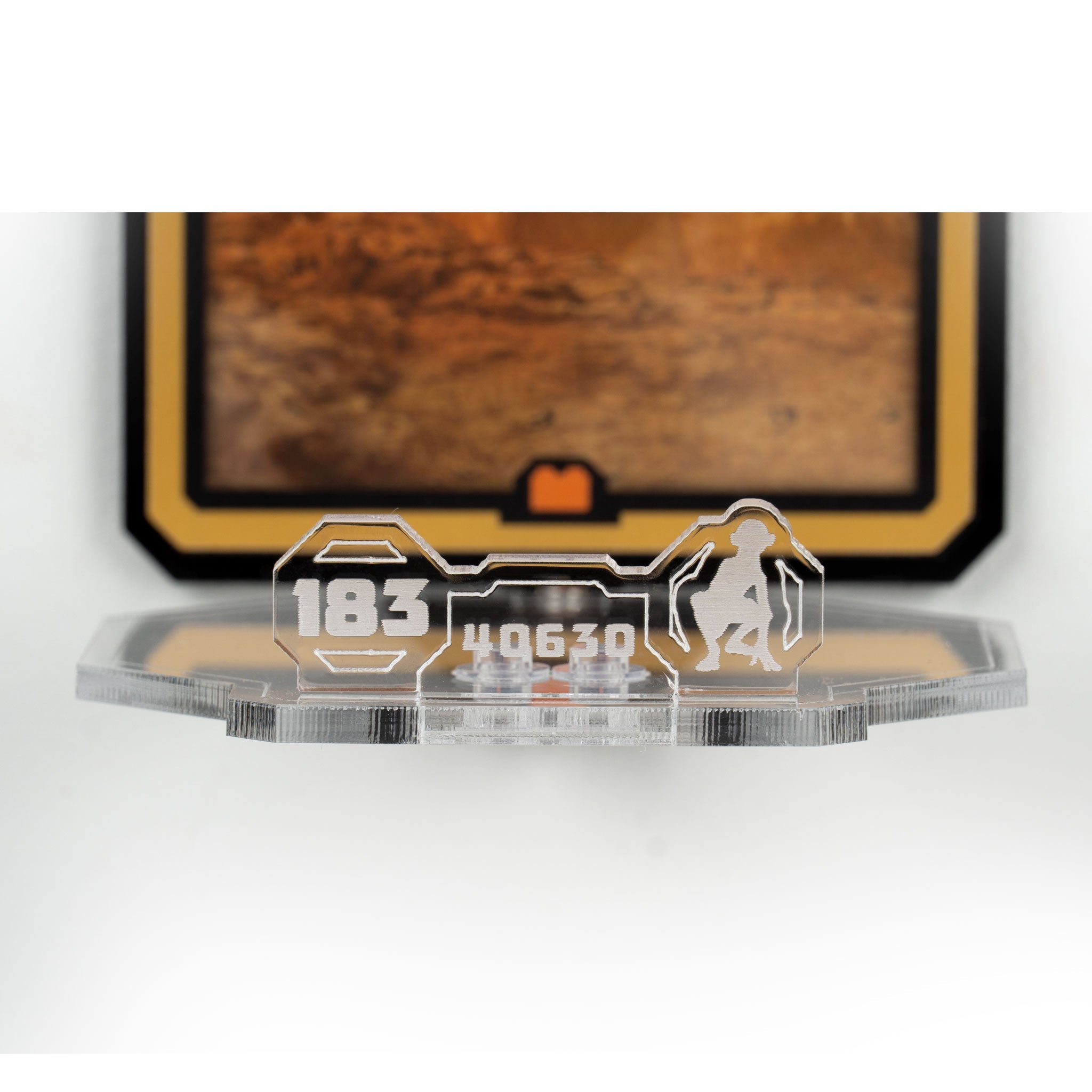 Wall mounted Display for LEGO® Brickheadz: Frodo™ & Gollum™ (40630)