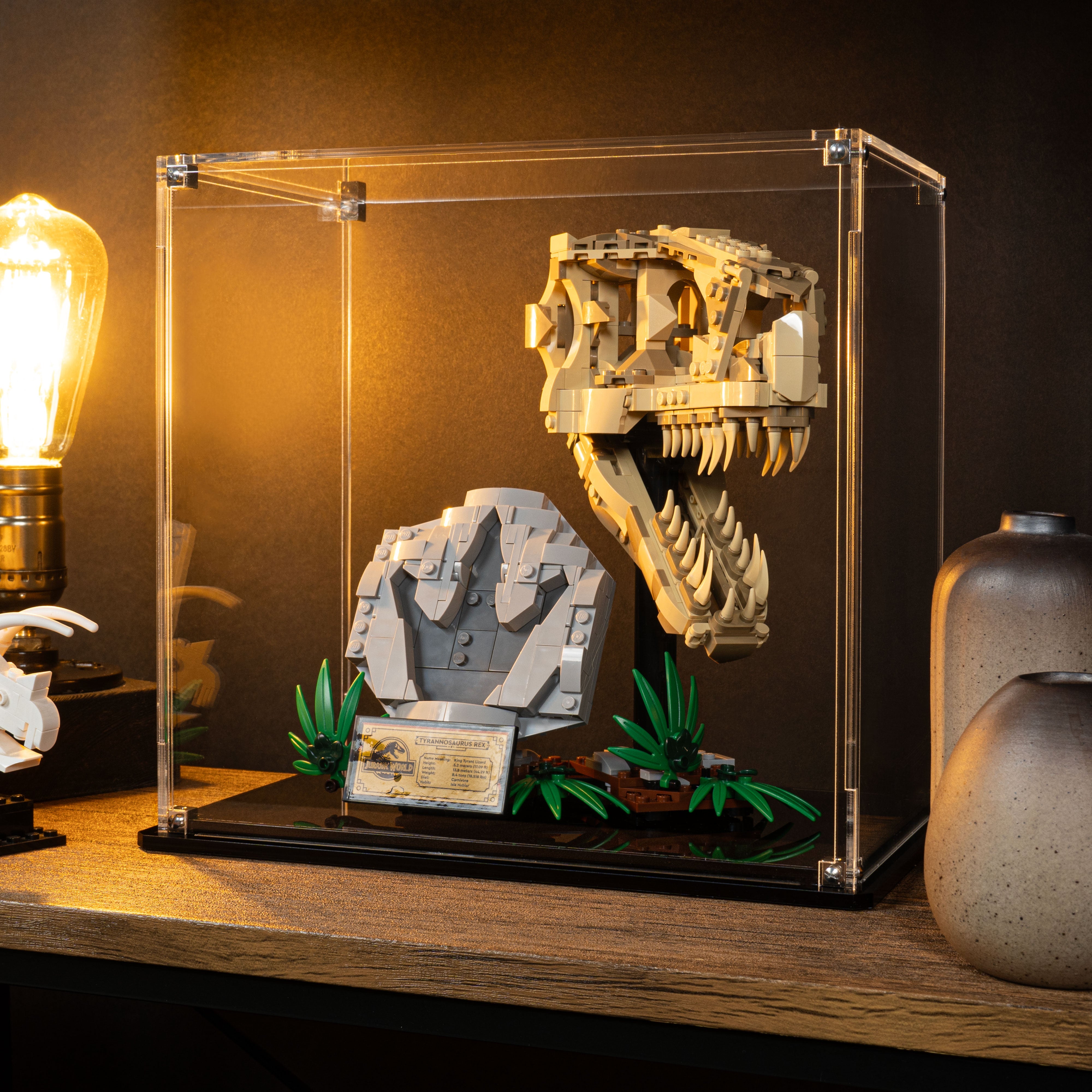 Display Case for LEGO® Jurassic World: Dinosaur Fossils: T. rex Skull (76964)