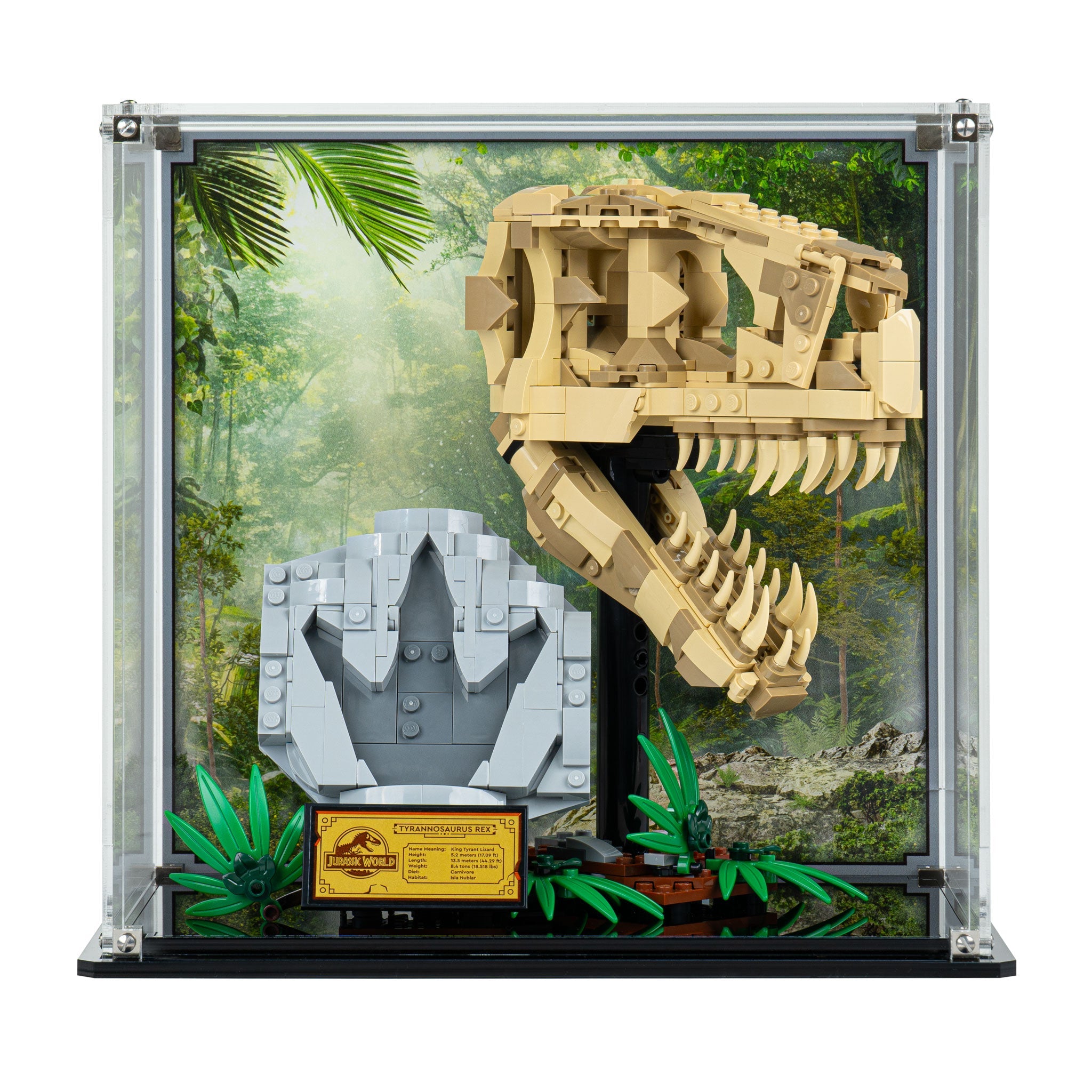 Display Case for LEGO® Jurassic World: Dinosaur Fossils: T. rex Skull (76964)