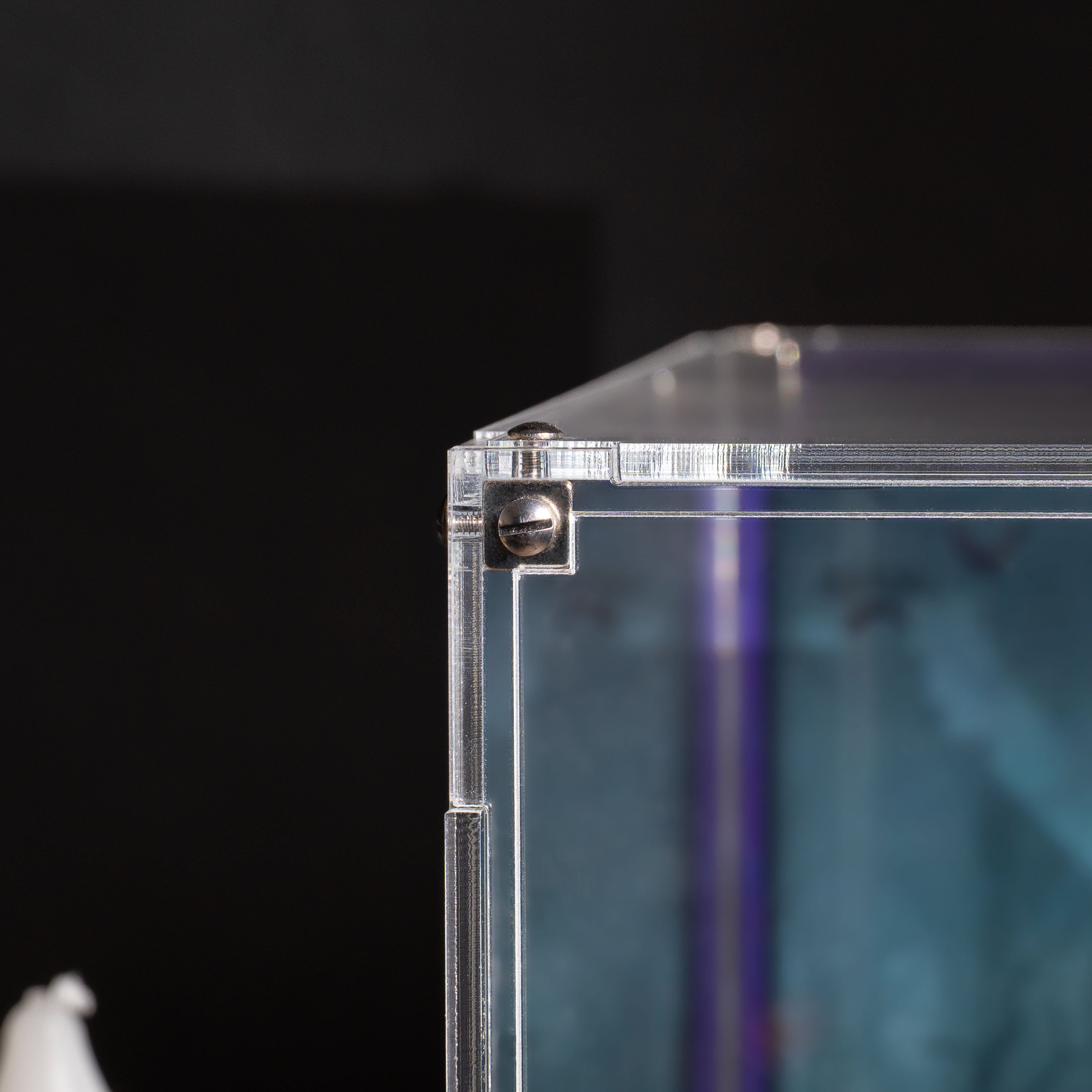 Display Case for LEGO® Creator: Haunted Mansion (31167)