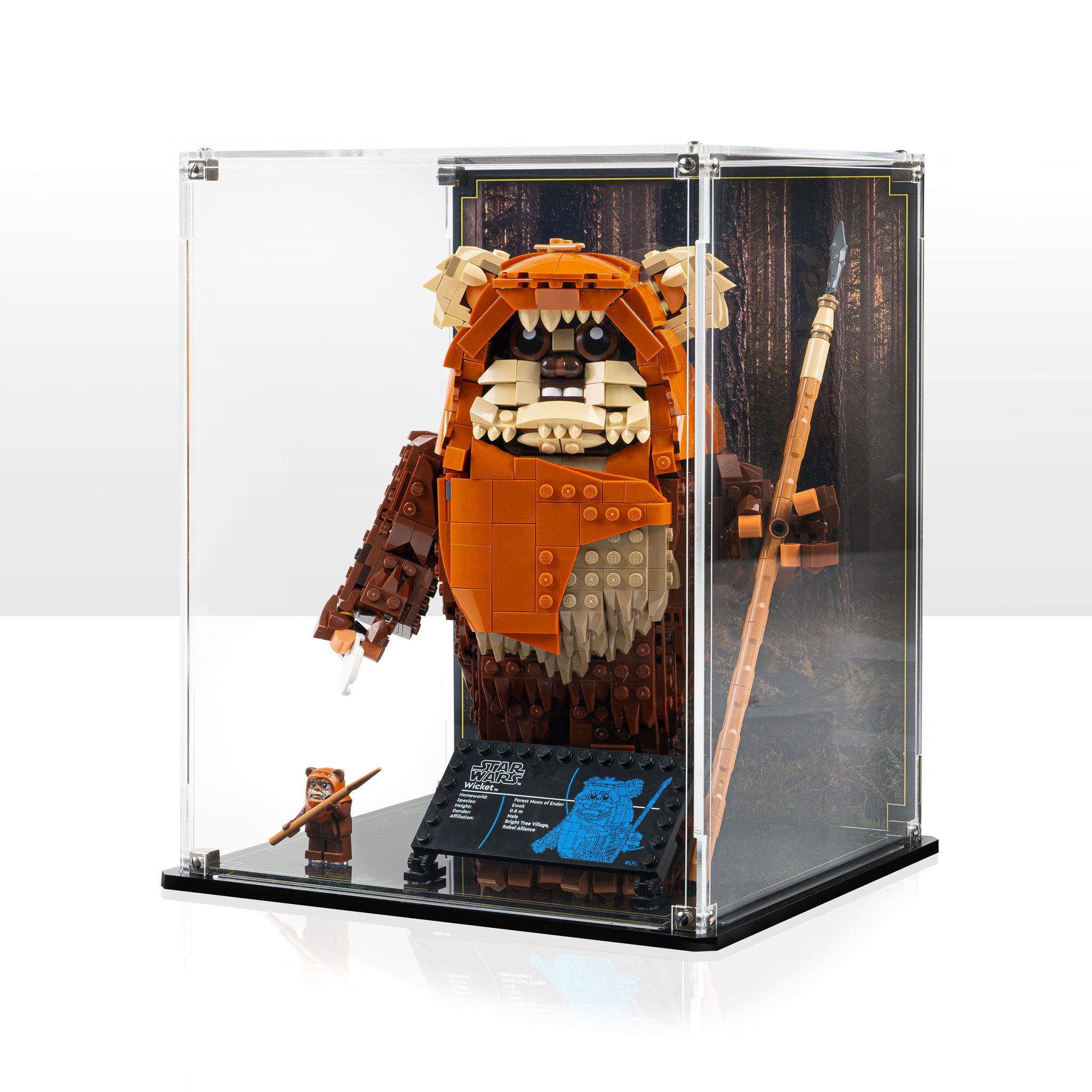 Display Case for LEGO® Star Wars: Wicket the Ewok (75430)
