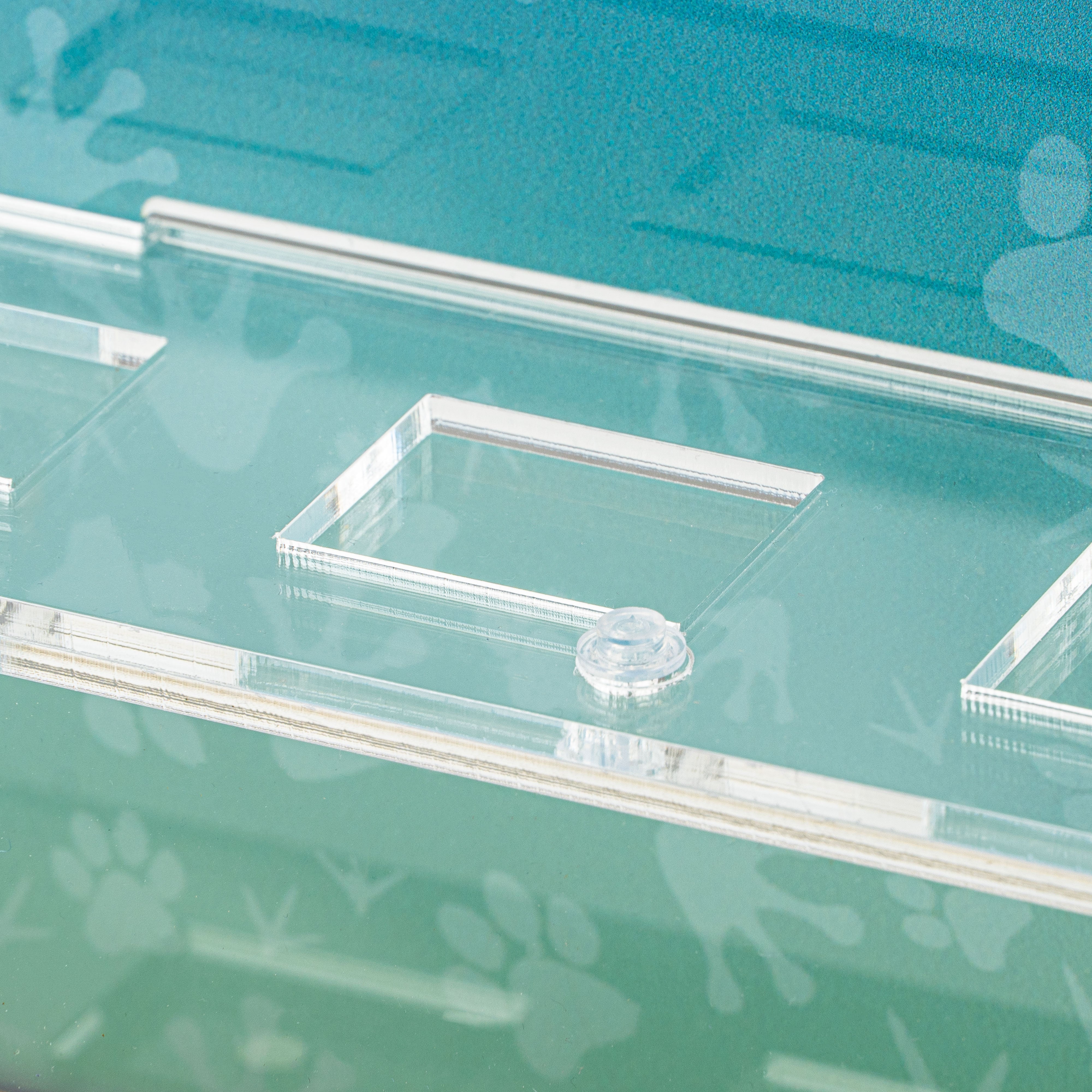 Display Case for LEGO® Collectible Minifigures™: Animals Series 28 (71051)