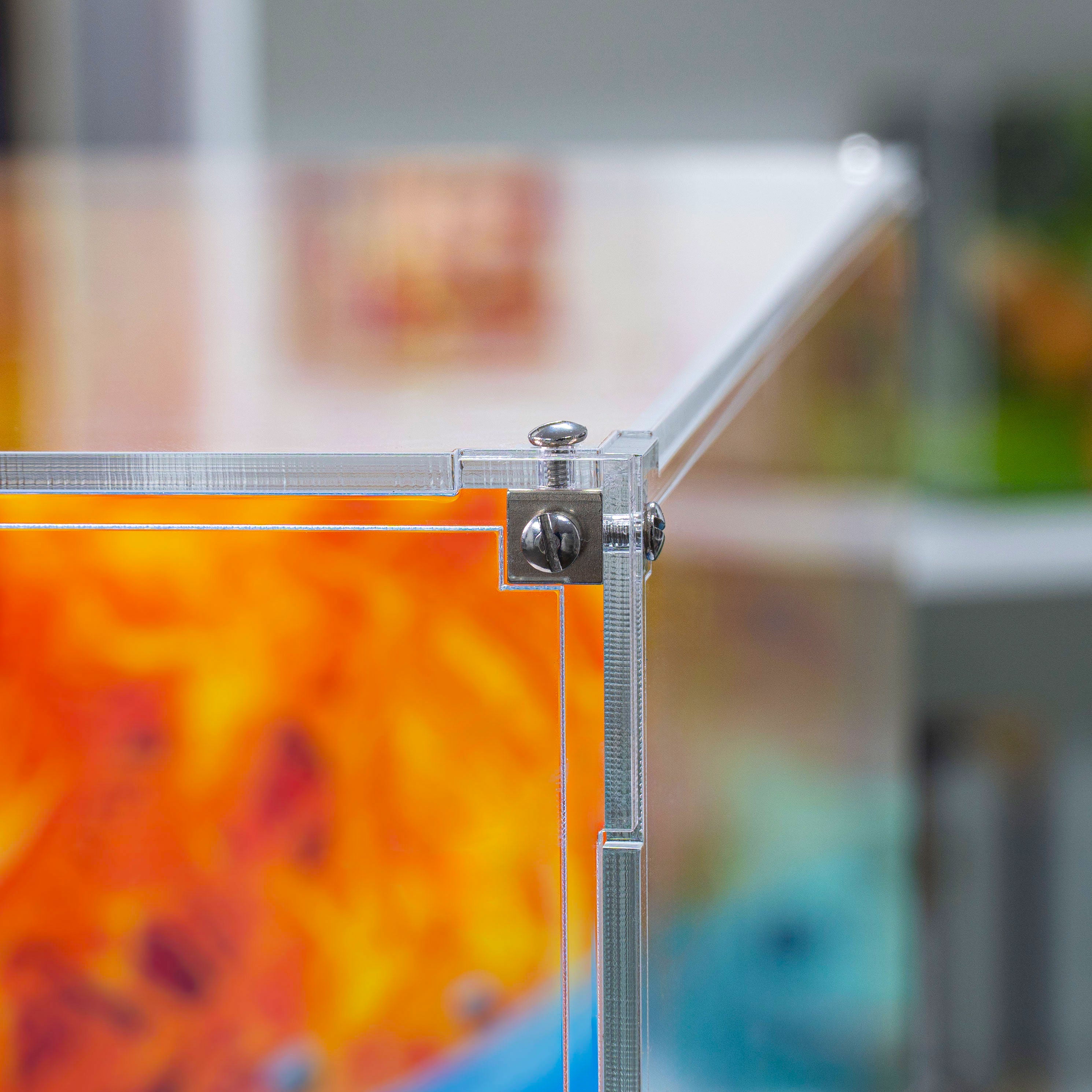 Display Case for LEGO® Pokémon™: Venusaur, Charizard and Blastoise (72153)