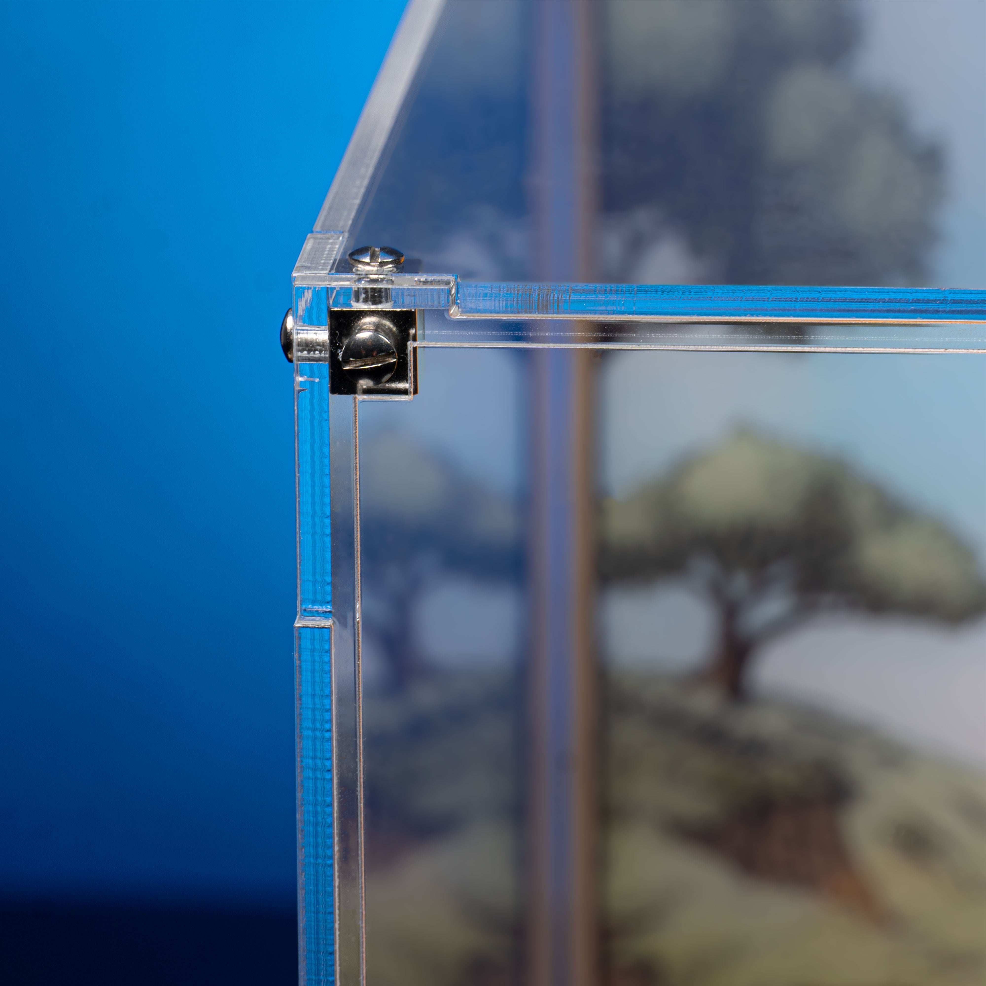 Limited Edition Display Case for LEGO® Disney Winnie the Pooh (43300)
