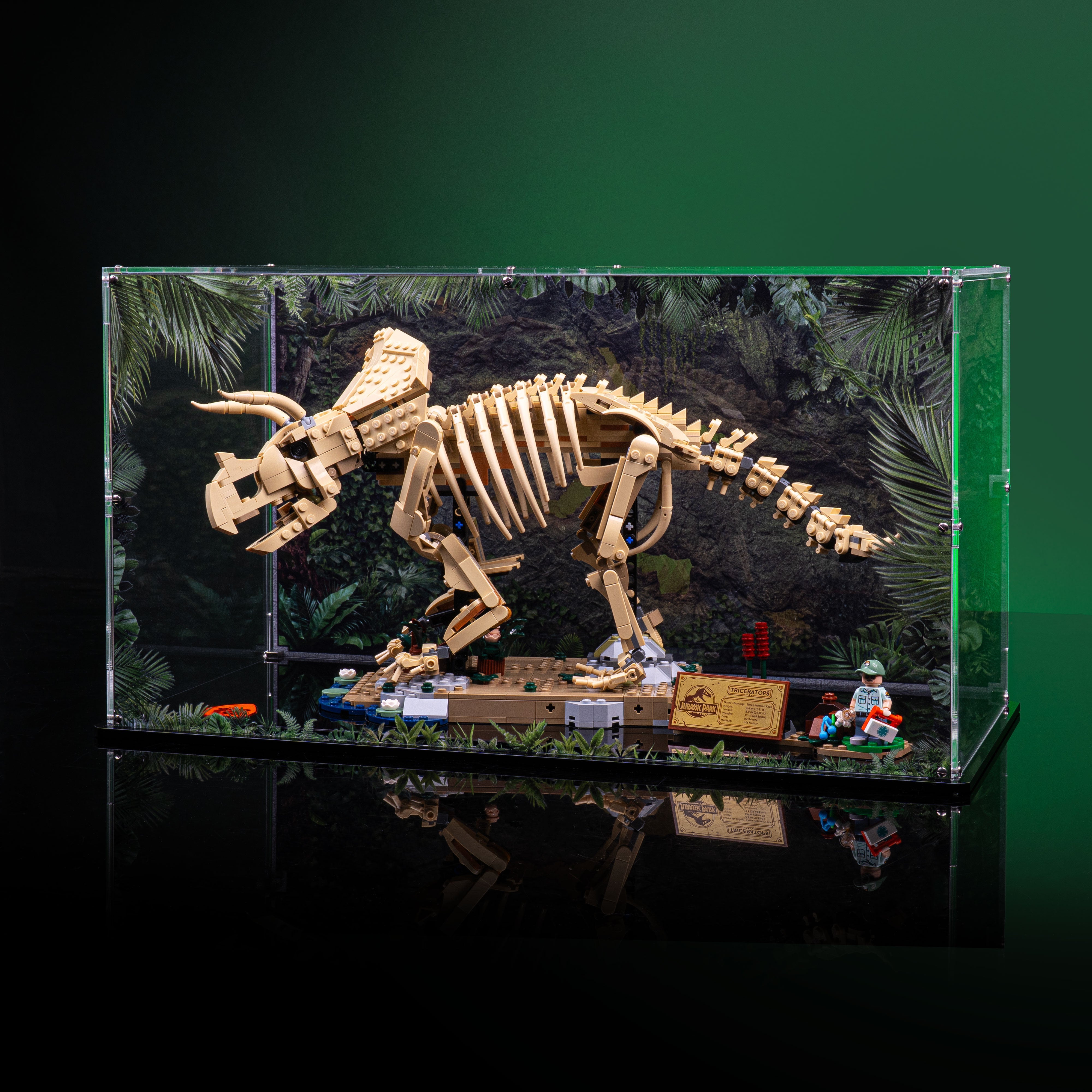 Limited Edition Display Case for LEGO® Dinosaur Fossils: Triceratops (77985)
