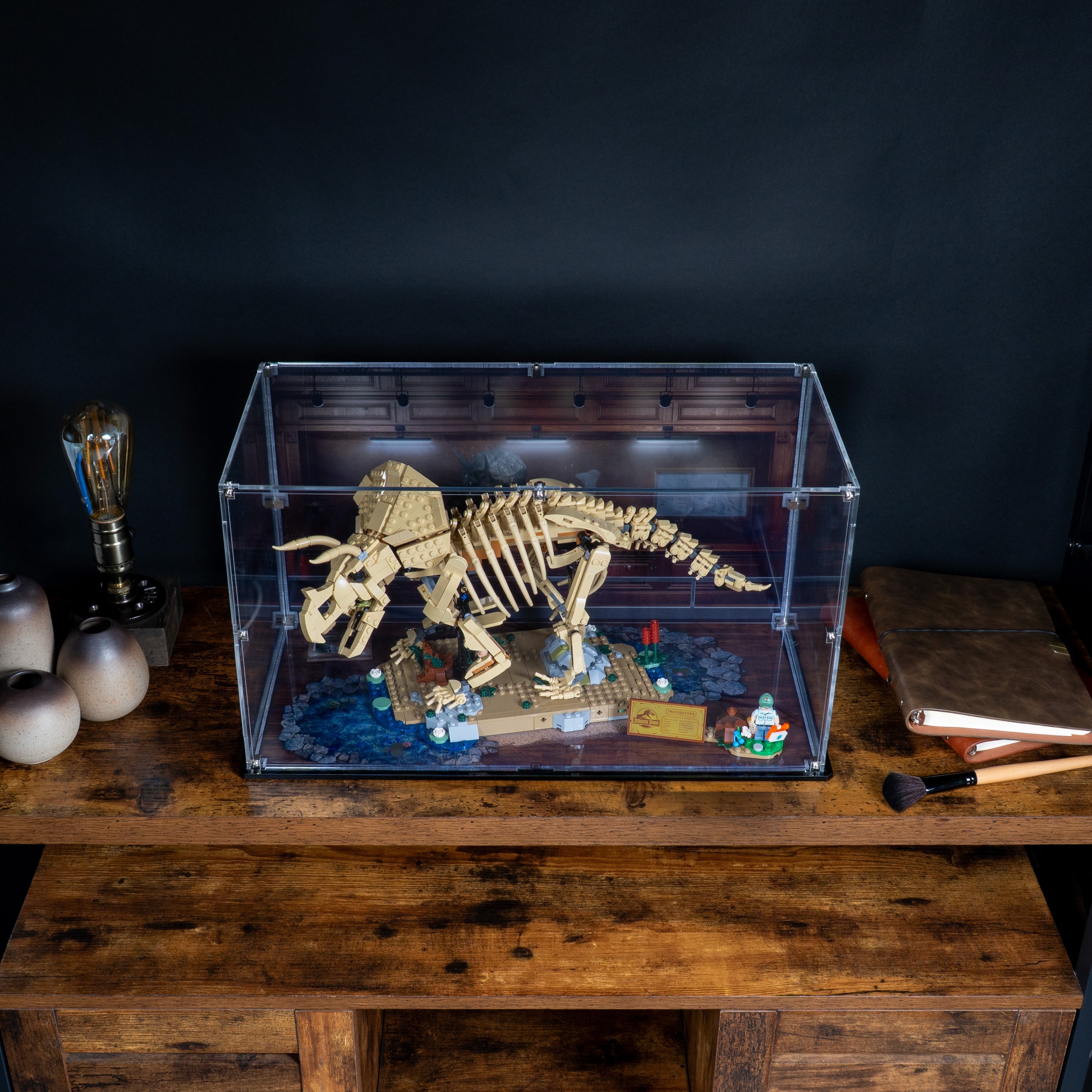 Display Case for LEGO® Dinosaur Fossils: Triceratops (77985)