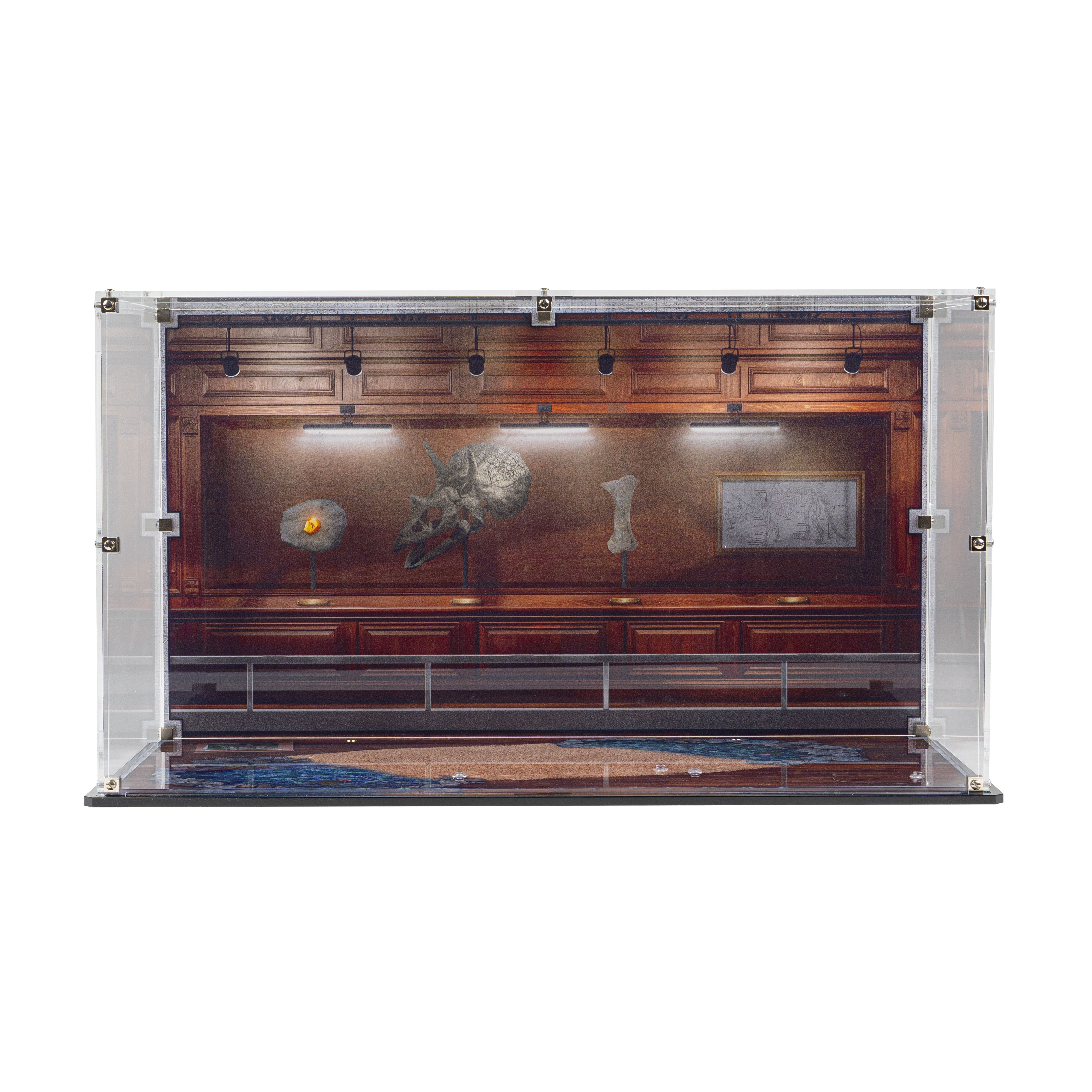 Display Case for LEGO® Dinosaur Fossils: Triceratops (77985)