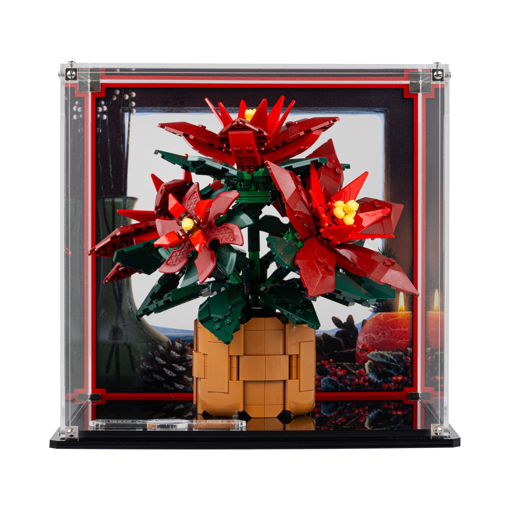 Display Case for LEGO Icons: Poinsettia (10370)
