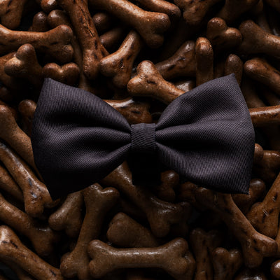James Bond Pet Bow Tie (Outlet Item)