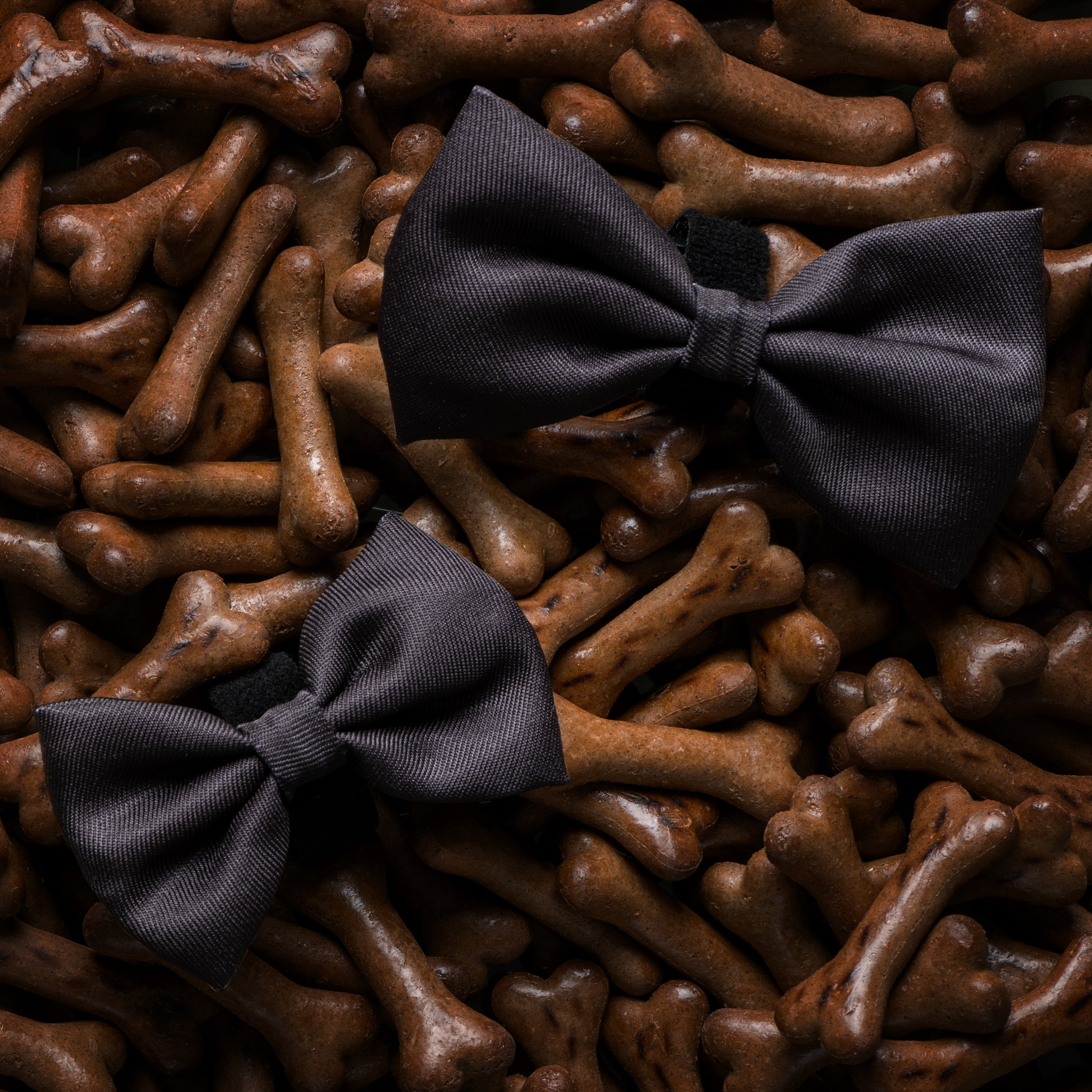 James Bond Pet Bow Tie (Outlet Item)