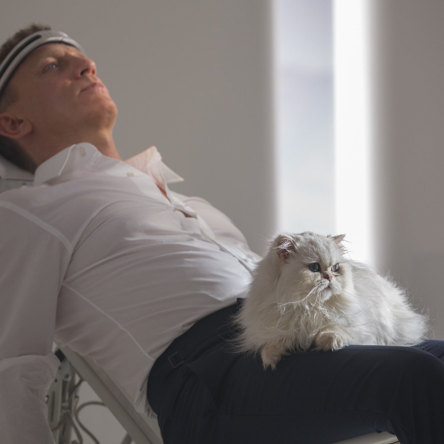 James Bond Blofeld's Cat Tree Decoration