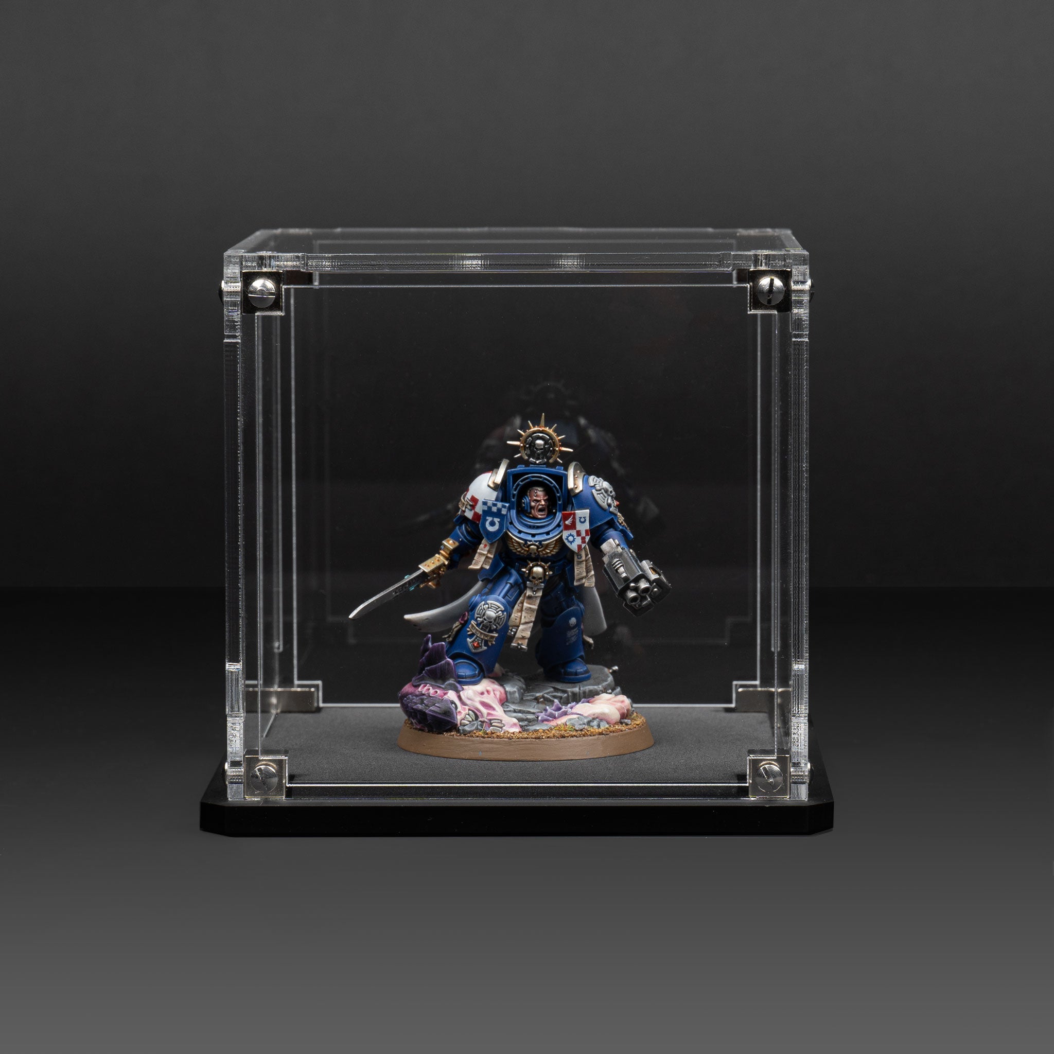 Display Case for Warhammer® Miniature with Clear Background