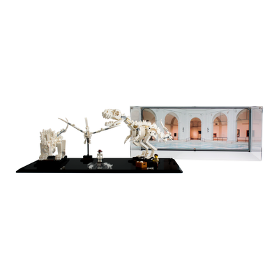 Display Case for LEGO® Ideas: Dinosaur Fossils (21320)