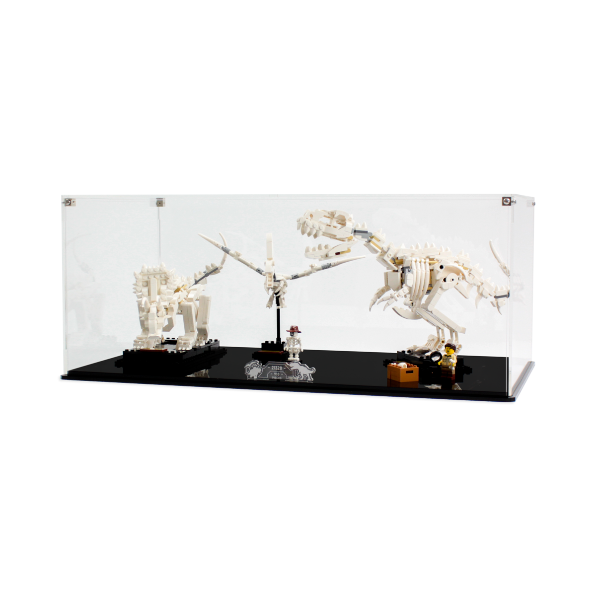 Display Case for LEGO® Ideas: Dinosaur Fossils (21320)