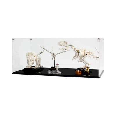 Display Case for LEGO® Ideas: Dinosaur Fossils (21320)
