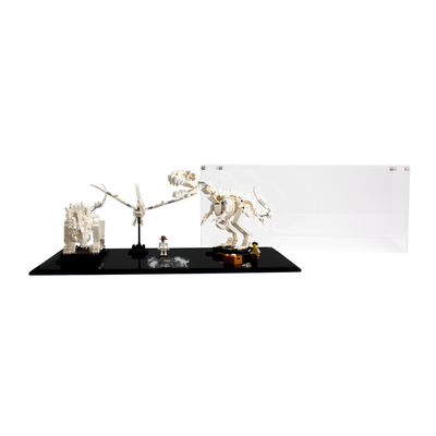 Display Case for LEGO® Ideas: Dinosaur Fossils (21320)