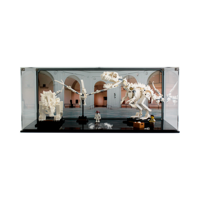 Display Case for LEGO® Ideas: Dinosaur Fossils (21320)