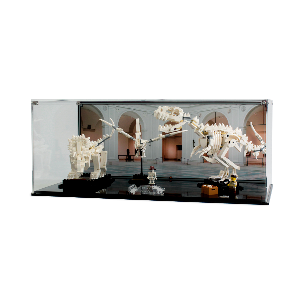 Display Case for LEGO® Ideas: Dinosaur Fossils (21320)