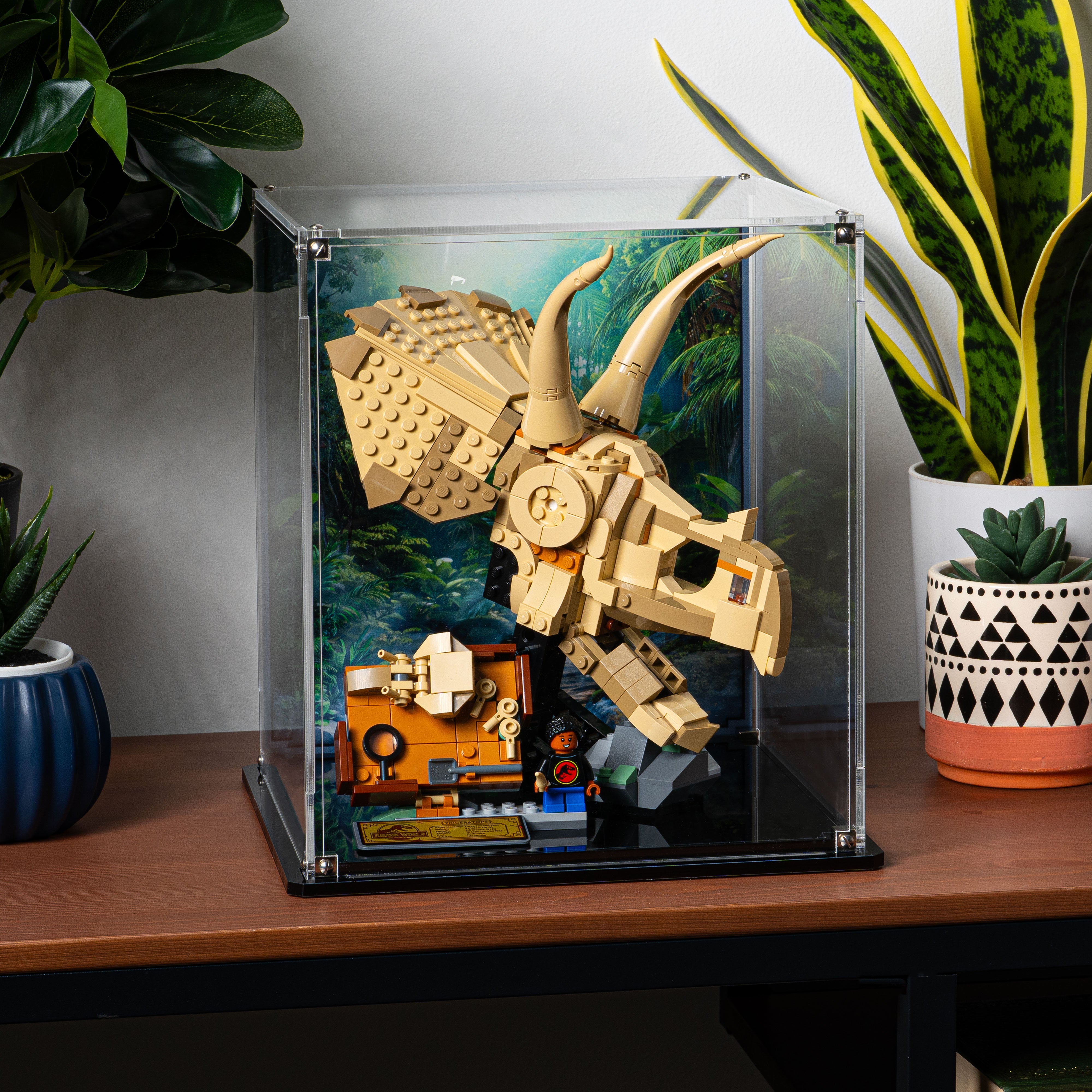 Display Case for LEGO® Jurassic World: Dinosaur Fossils Triceratops Skull (76969)