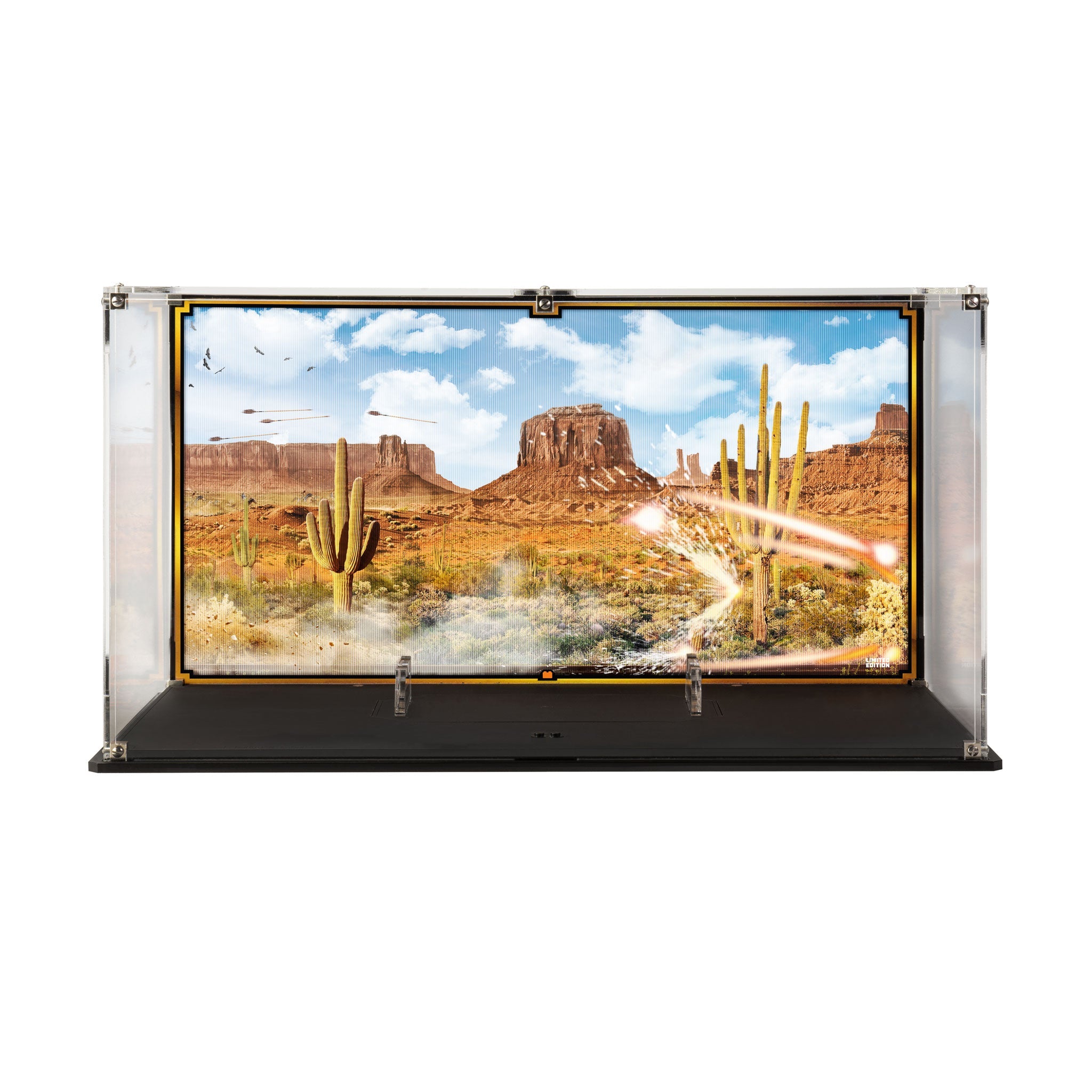 Limited Edition Display Case for LEGO® Back to the Future Time Machine (10300)
