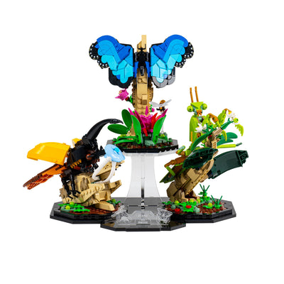 Display Stand for LEGO® Ideas: The Insect Collection (21342)