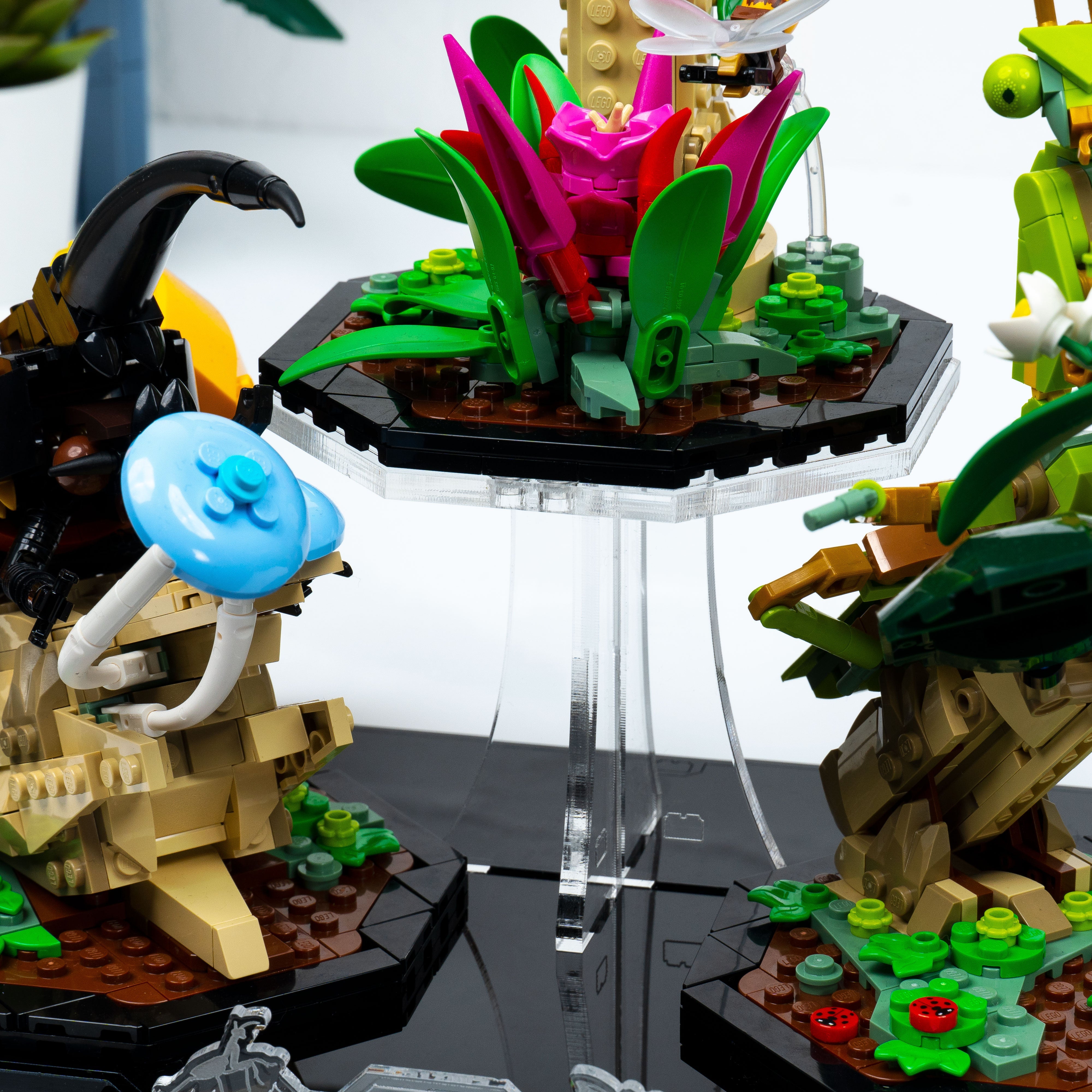 Display Stand for LEGO® Ideas: The Insect Collection (21342)