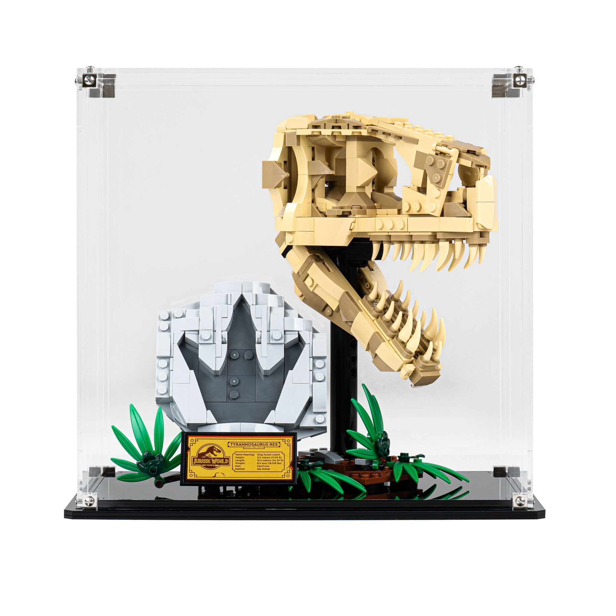 Display Case for LEGO® Jurassic World: Dinosaur Fossils: T. rex Skull (76964)