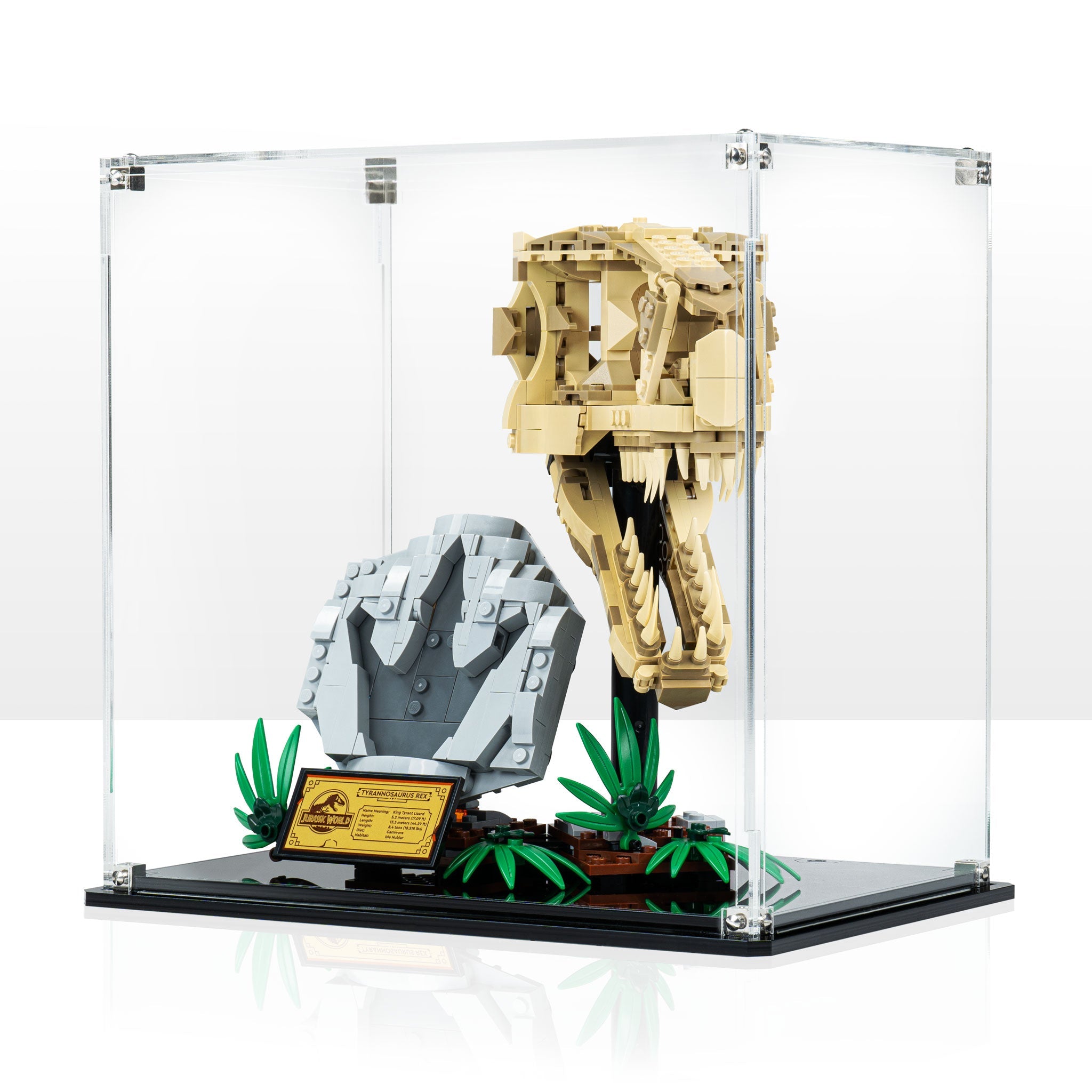 Display Case for LEGO® Jurassic World: Dinosaur Fossils: T. rex Skull (76964)