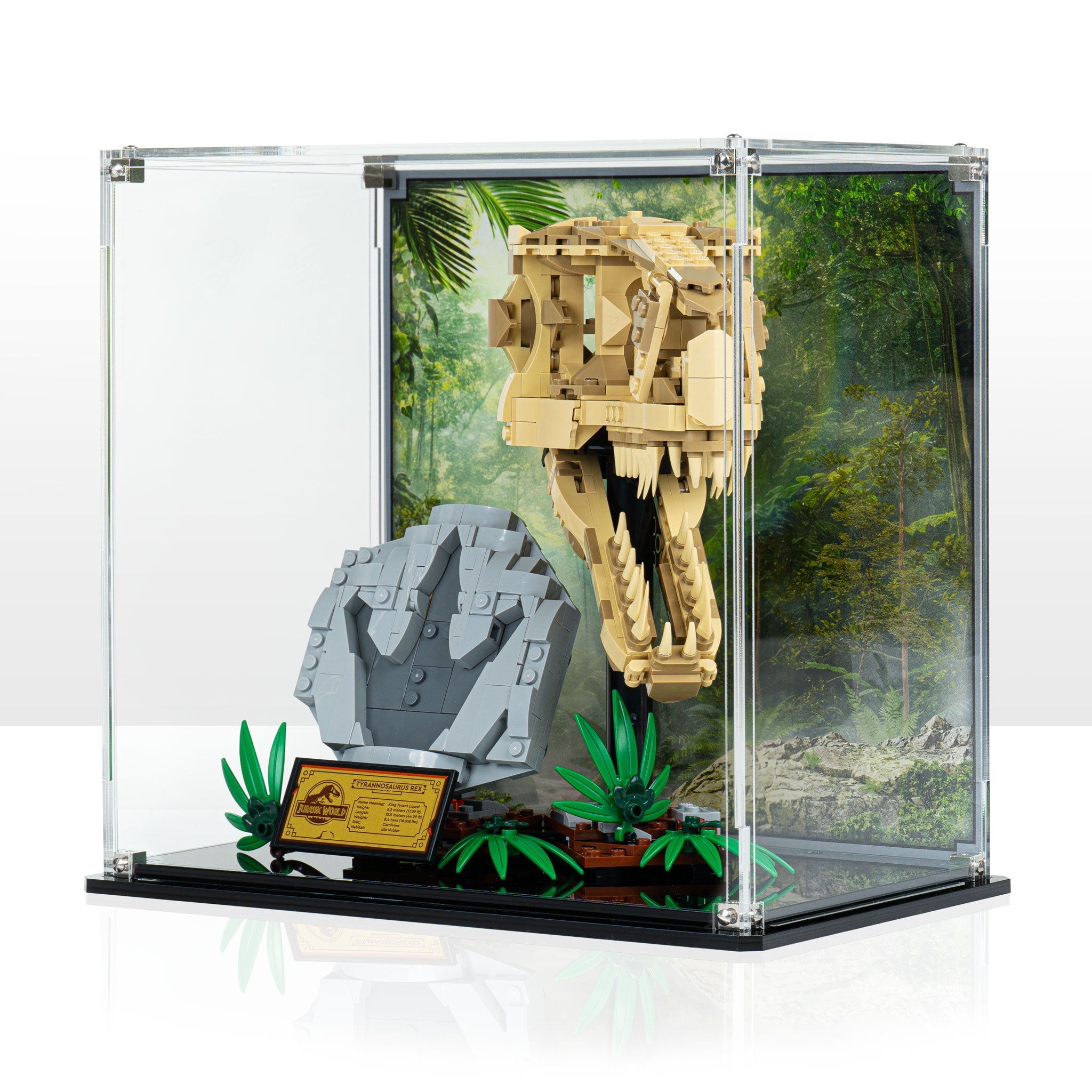 Display Case for LEGO® Jurassic World: Dinosaur Fossils: T. rex Skull (76964)