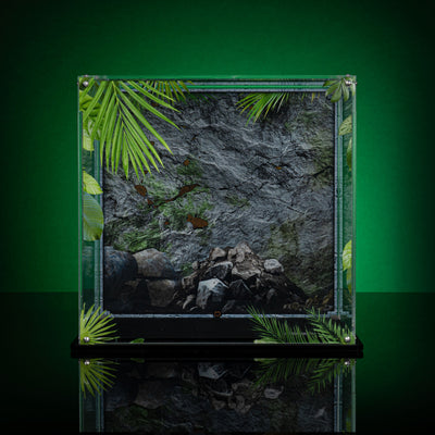 Limited Edition Display Case for LEGO® Jurassic World: Dinosaur Fossils: T. rex Skull (76964)