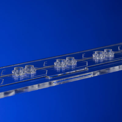 Limited Edition Display Case for 300 LEGO® Minifigures