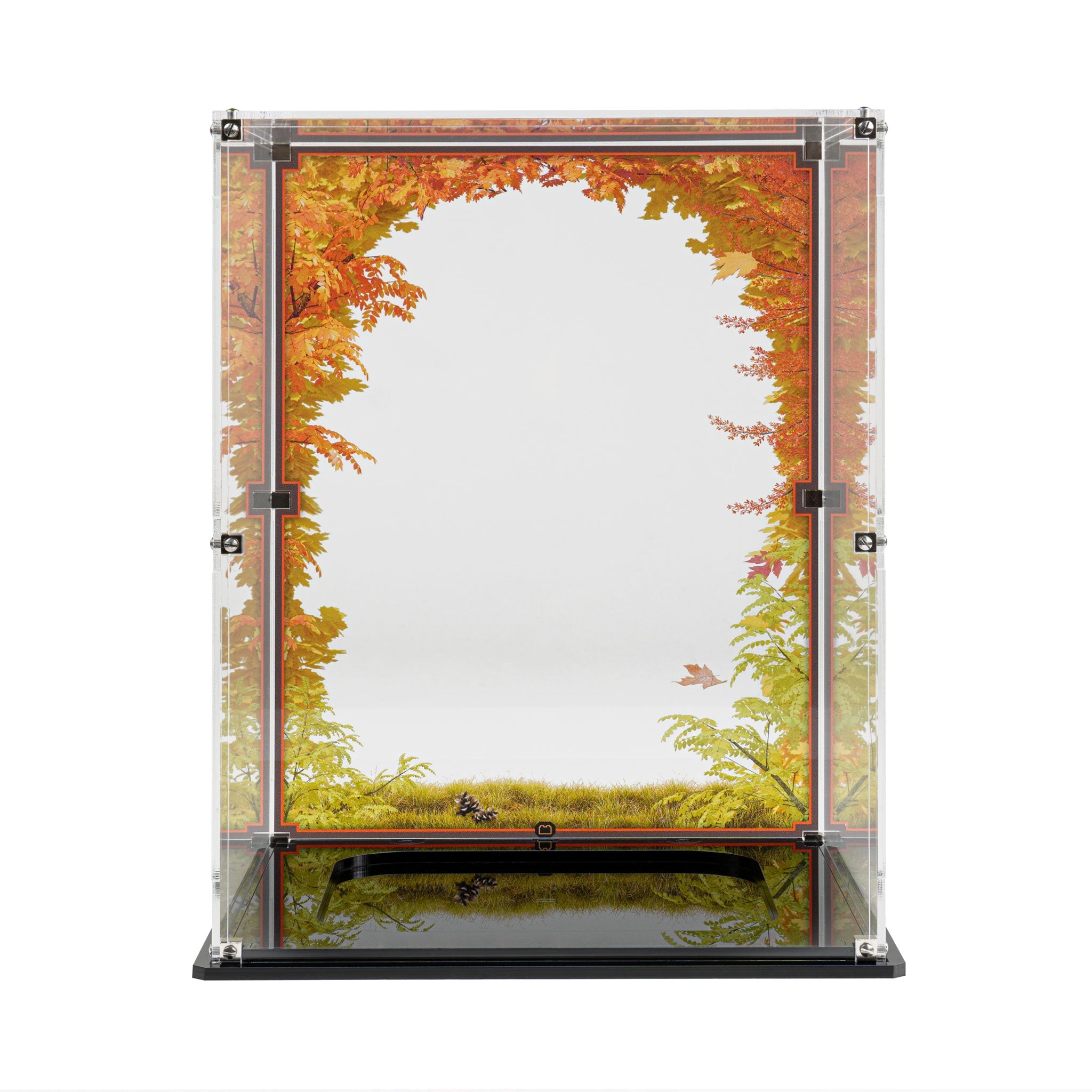 Display Case for LEGO® Ideas Family Tree (21346)