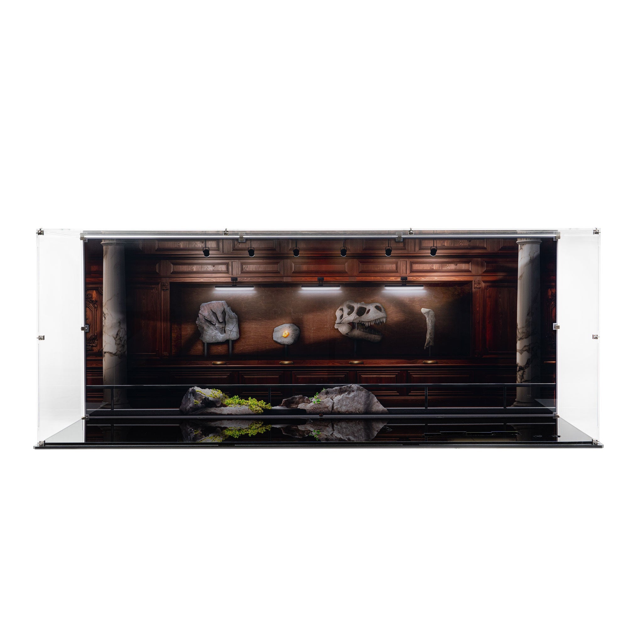 Display Case for LEGO® Jurassic Park: Dinosaur Fossils - Tyrannosaurus Rex (76968)