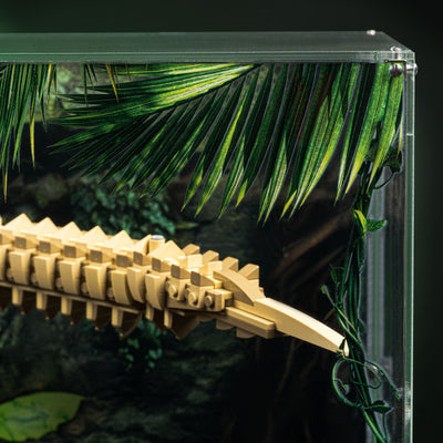 Limited Edition Display Case for LEGO® Dinosaur Fossils: Tyrannosaurus Rex (76968)