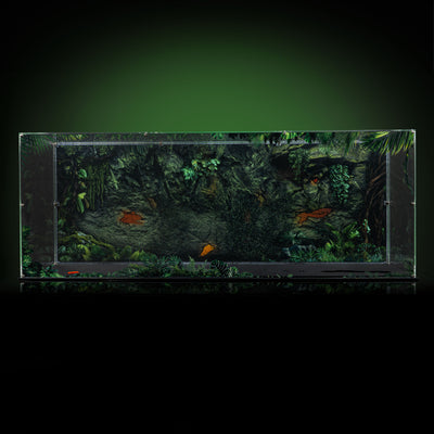 Limited Edition Display Case for LEGO® Dinosaur Fossils: Tyrannosaurus Rex (76968)