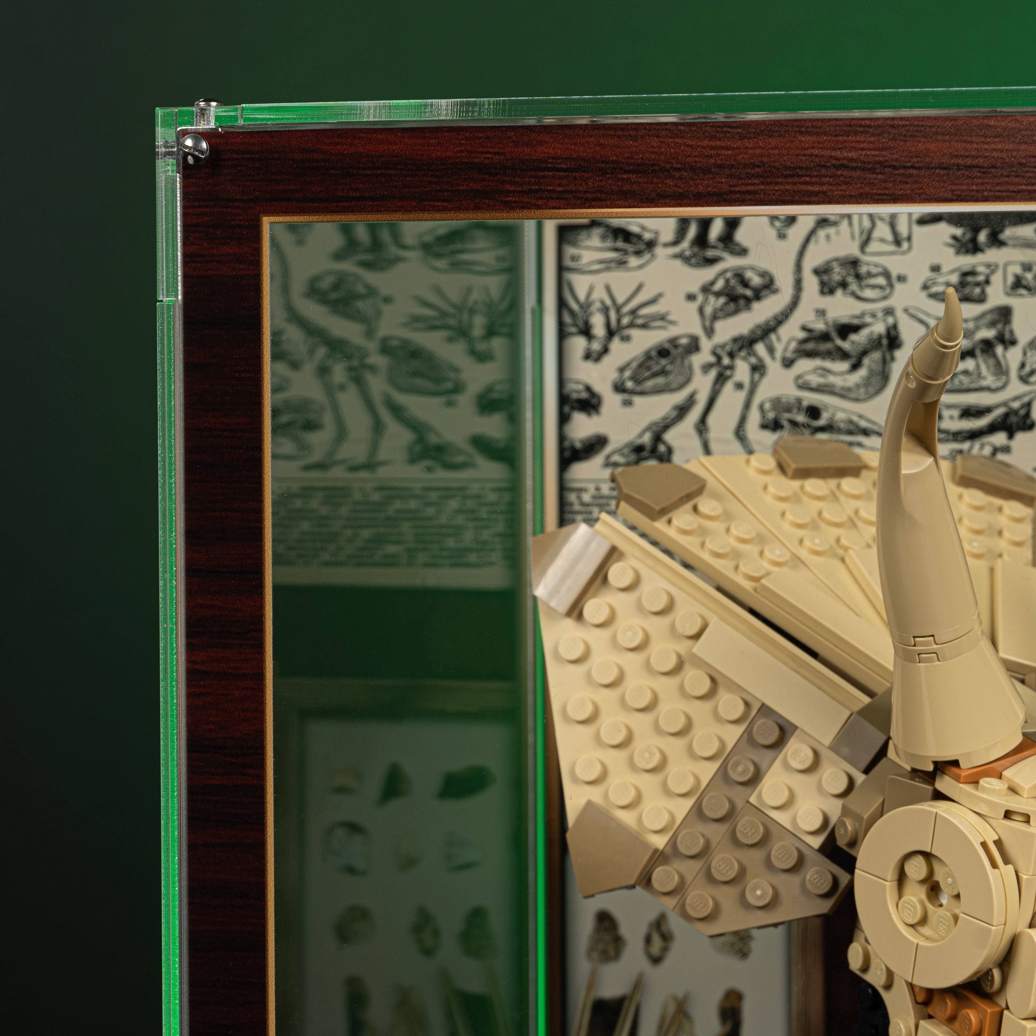 Limited Edition Display Case for LEGO® Jurassic World: Dinosaur Fossils Triceratops Skull and T.Rex Skull (76969, 76964)