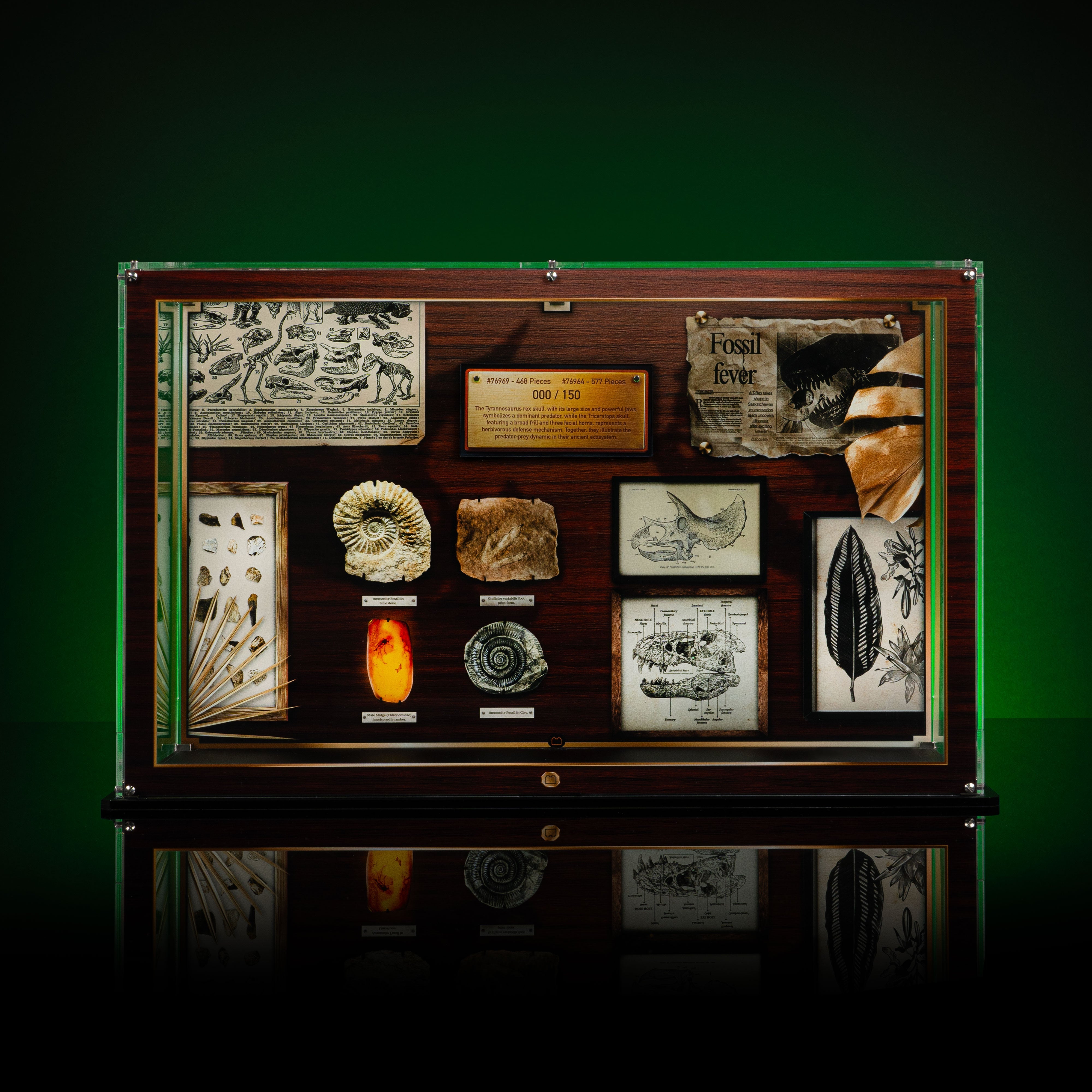 Limited Edition Display Case for LEGO® Jurassic World: Dinosaur Fossils Triceratops Skull and T.Rex Skull (76969, 76964)