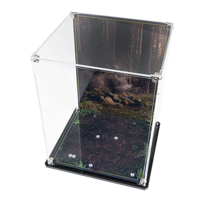 Display Case for LEGO® Star Wars: Wicket the Ewok (75430)