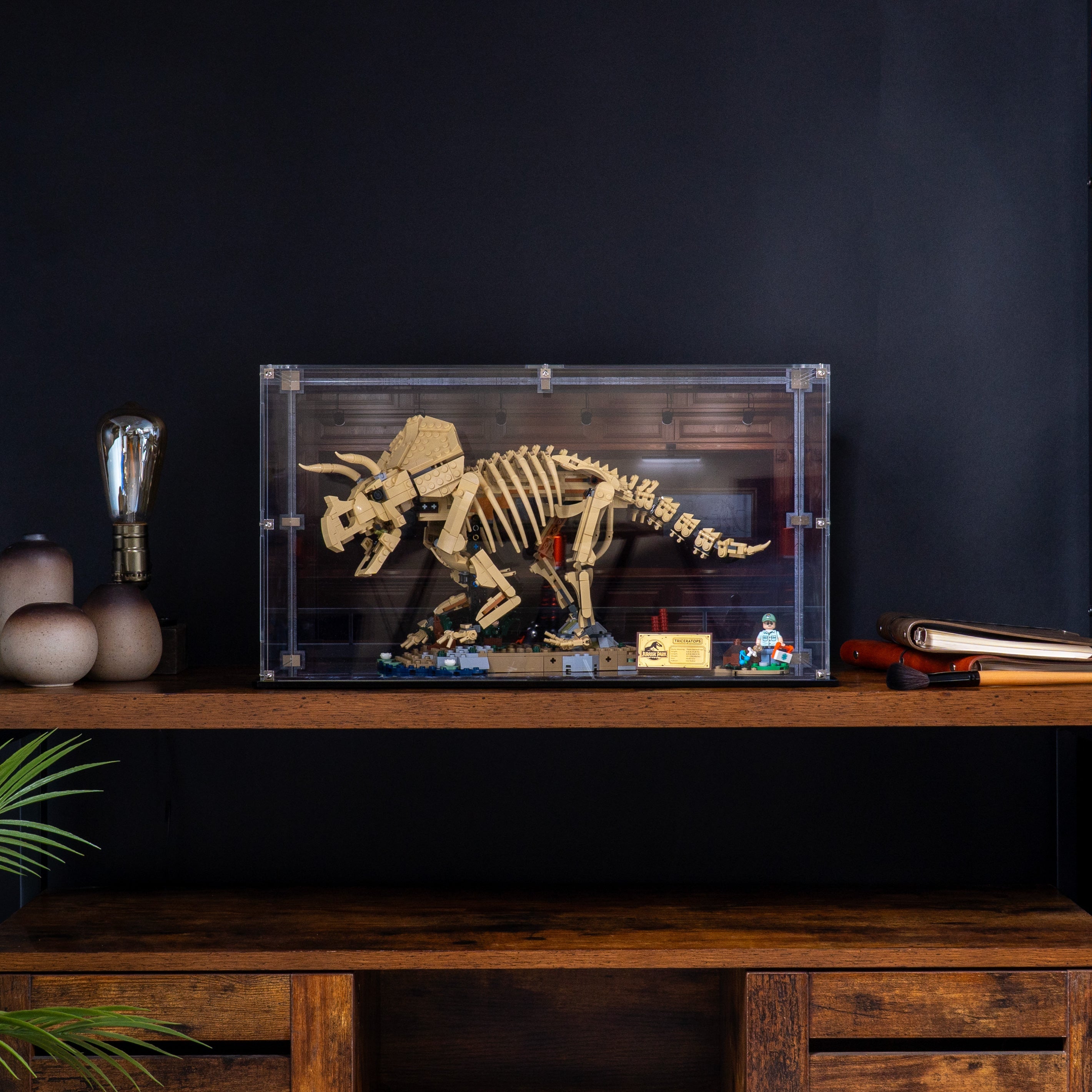 Display Case for LEGO® Dinosaur Fossils: Triceratops (77985)