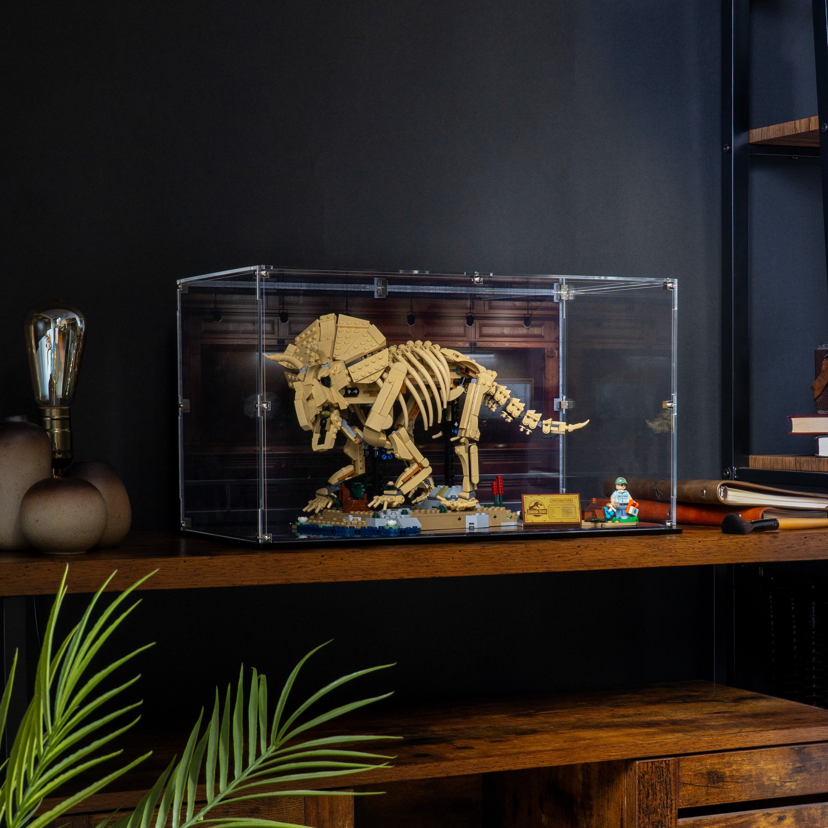 Display Case for LEGO® Dinosaur Fossils: Triceratops (77985)