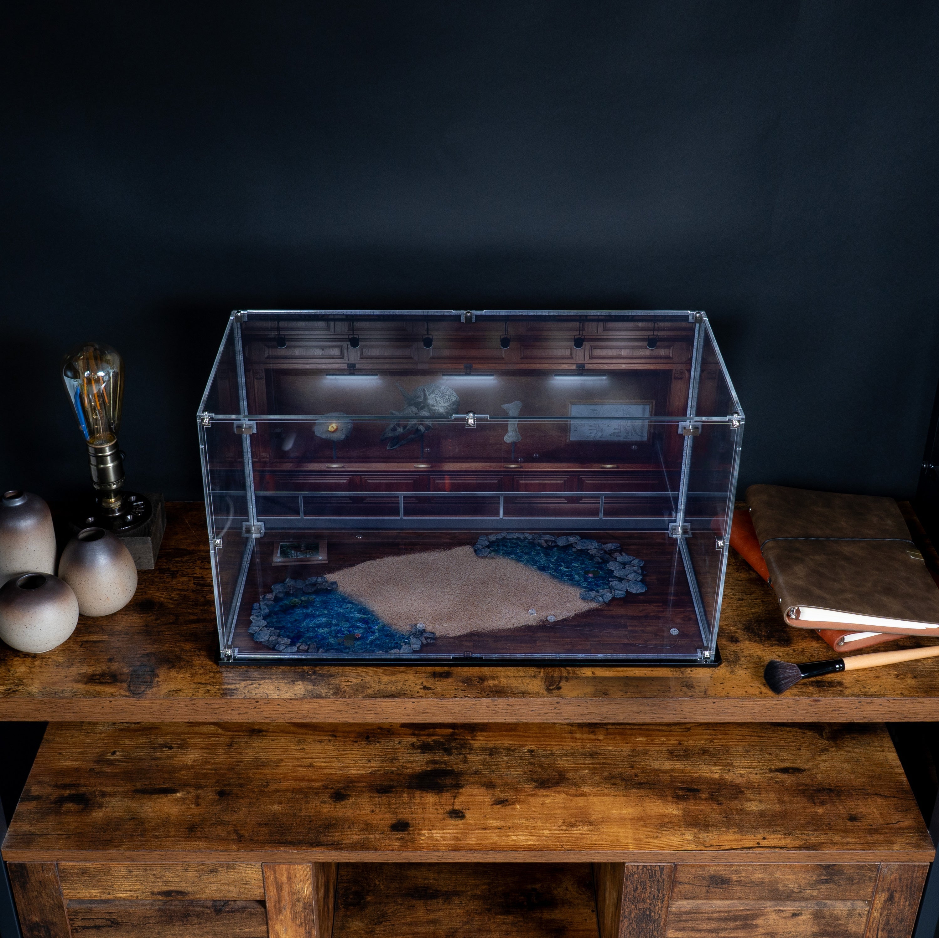 Display Case for LEGO® Dinosaur Fossils: Triceratops (77985)