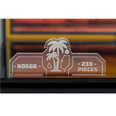 Display Case for LEGO® Ray the Castaway (40566)