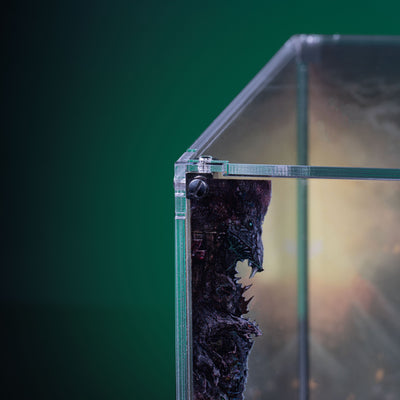 Limited Edition Display Case for Warhammer® Age of Sigmar: Skaventide - Skaven Army