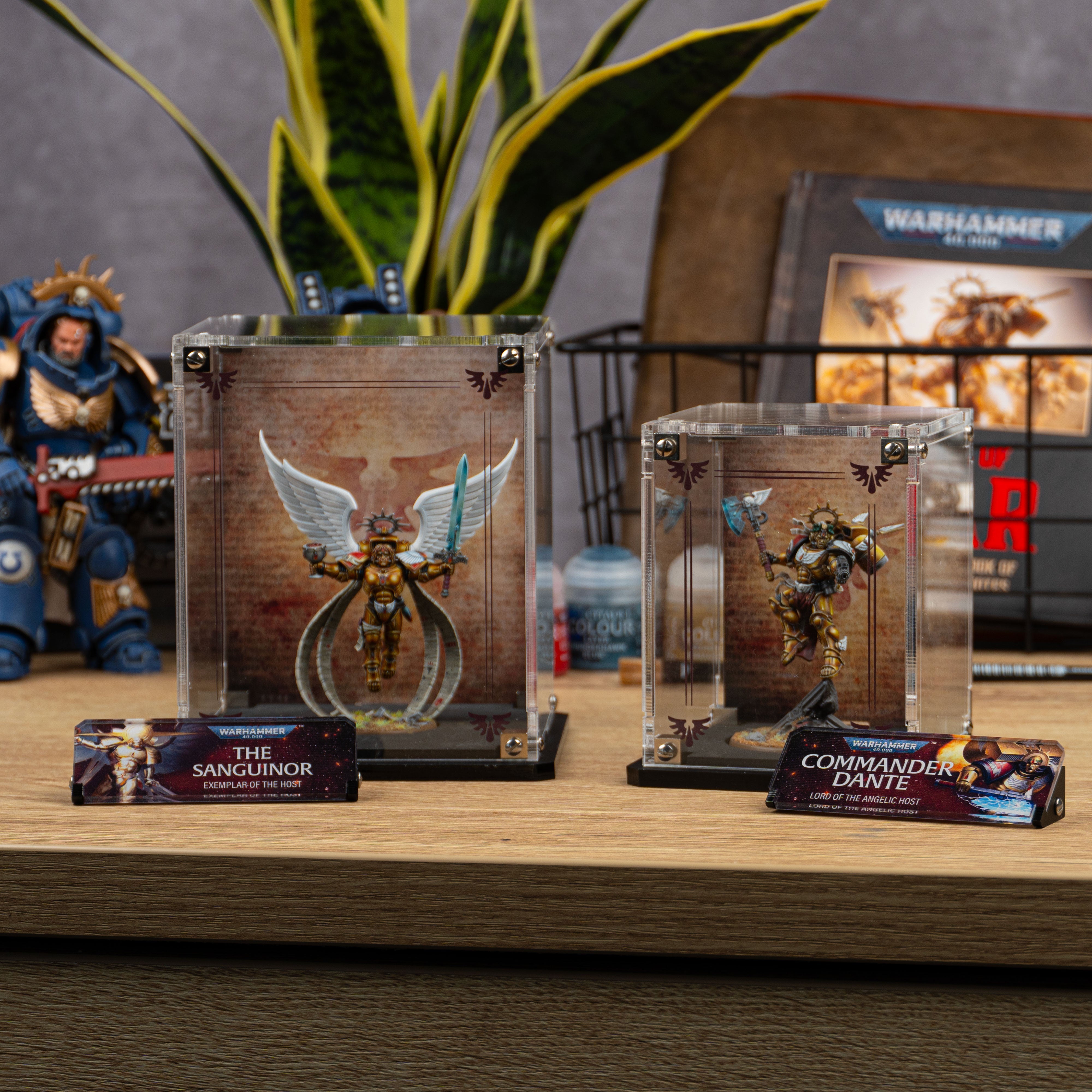 Display Cases for Warhammer® 40,000 Blood Angels Miniatures
